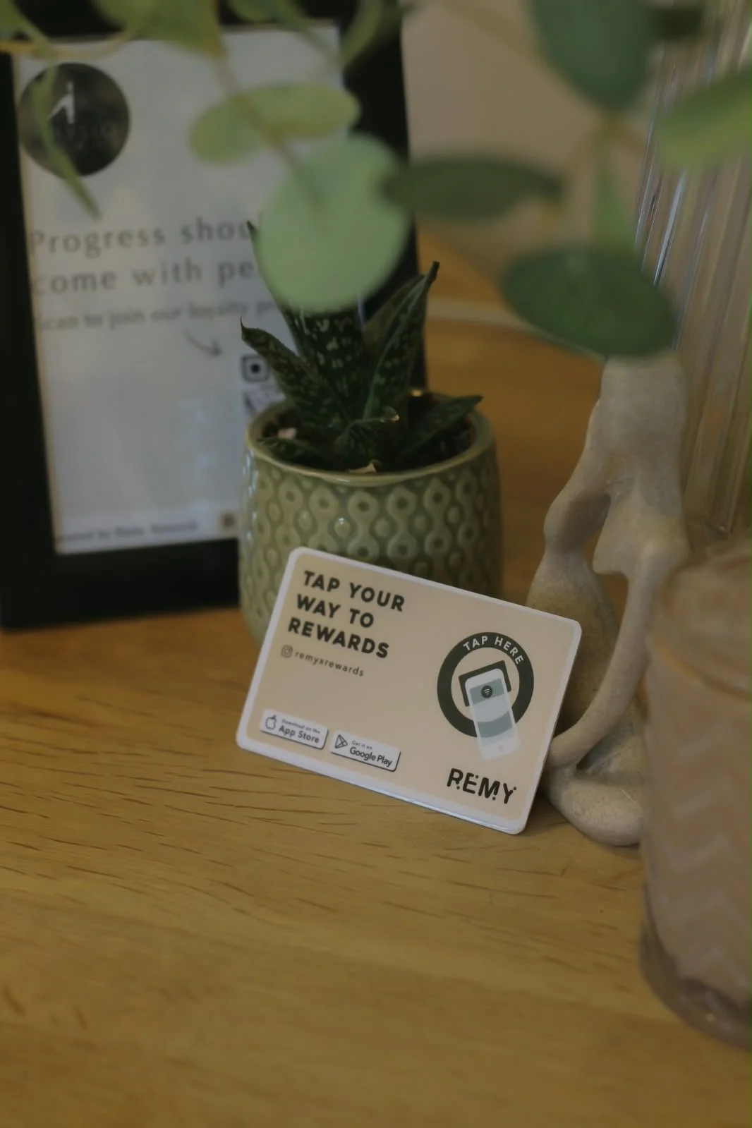A small potted houseplant with green and white patterned leaves on a wooden surface. Next to it, there is a sign encouraging rewards for tapping an app, with app store logos for download options.