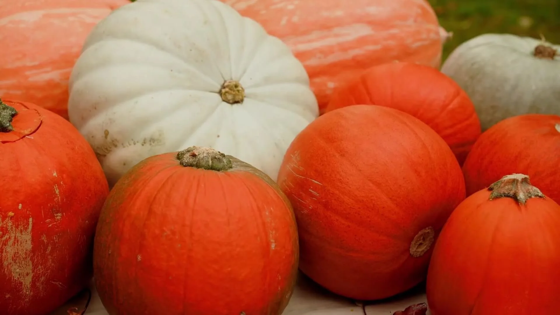 placing-fall-display.jpg