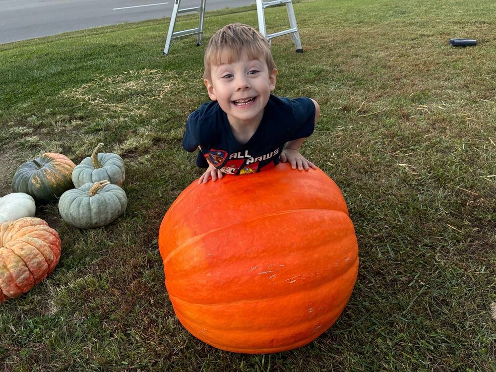 A young boy with brown hair smiling while leaning over a large orange pumpkin. Several smaller gourds are on the grass nearby.