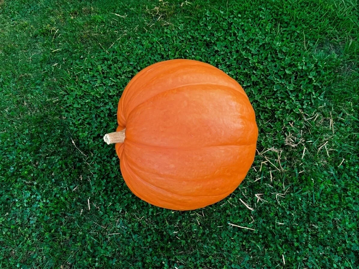 Grand Pumpkin