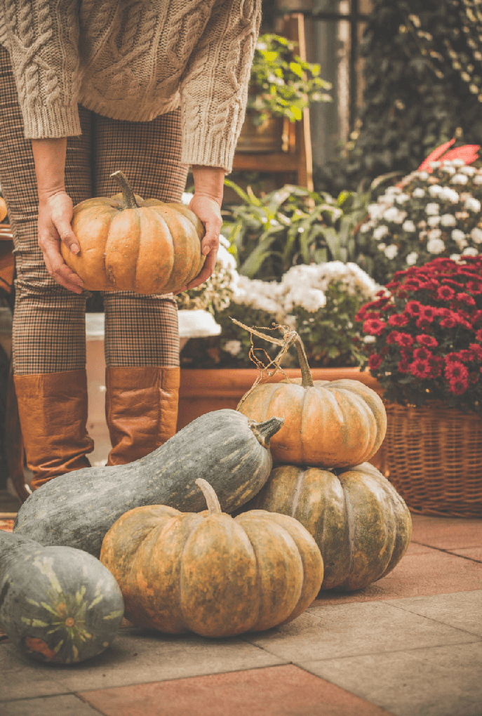 women stacking pumpkins for springboro oh pumpkin delivery