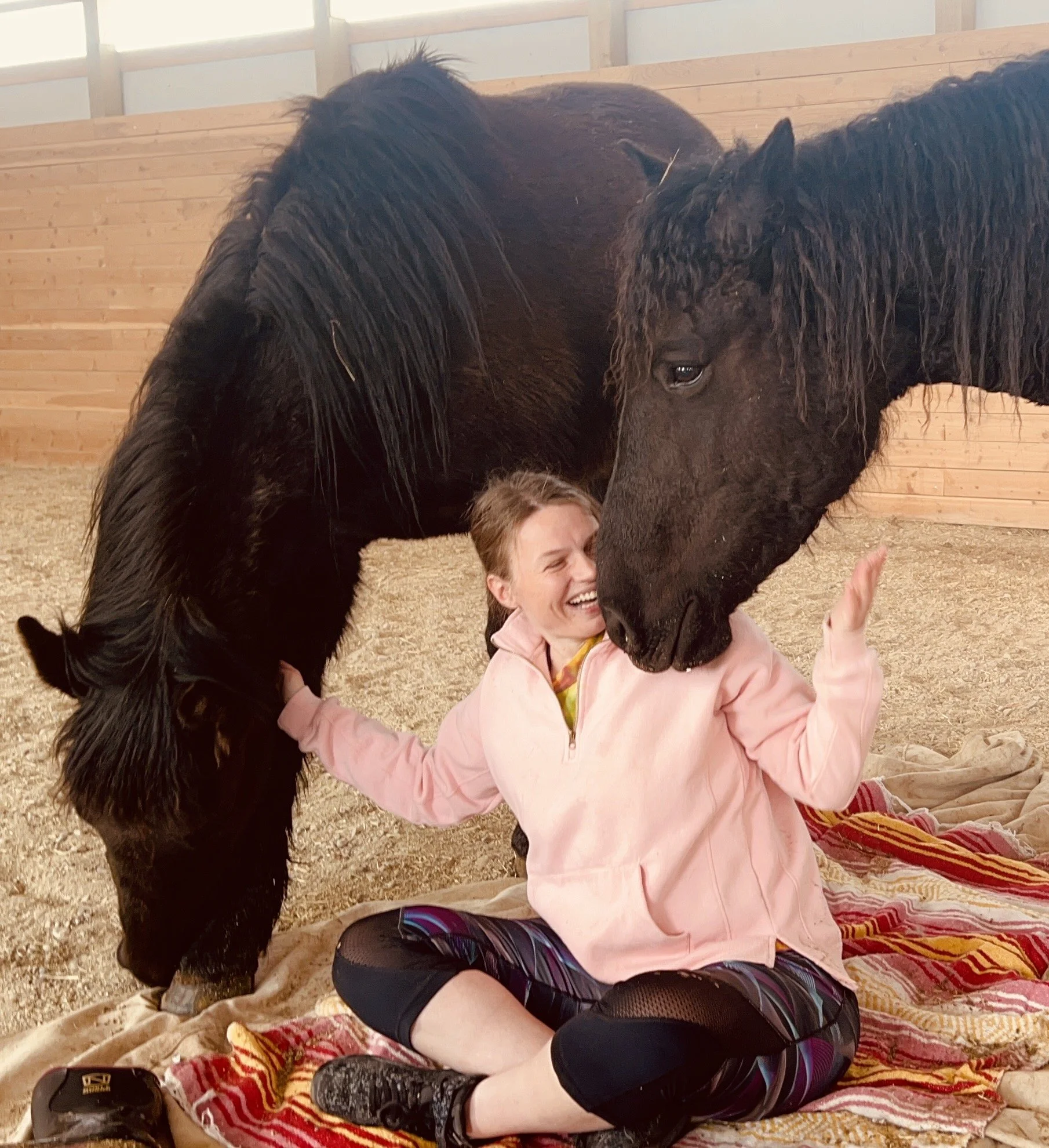Doing some horse yoga with friendly black mustangs