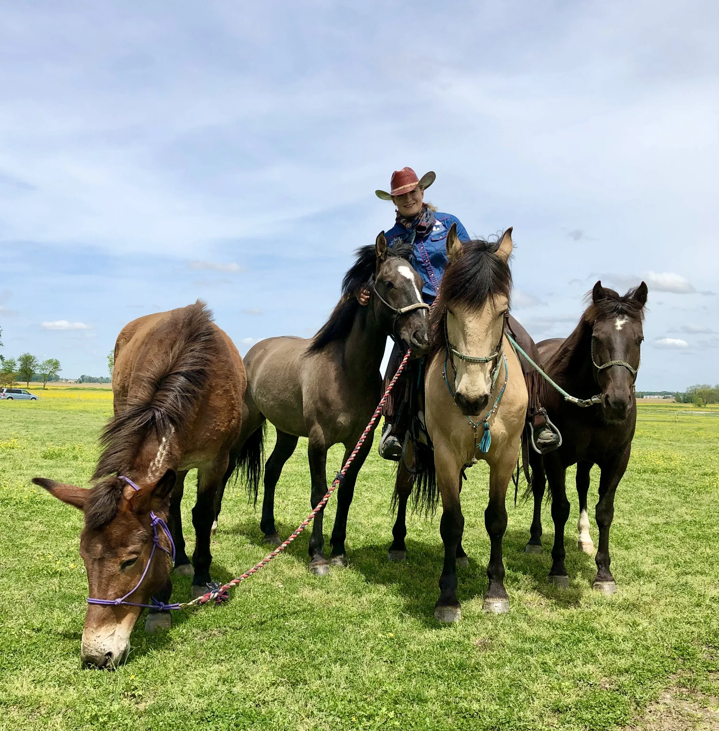 Lisanne Fear with her team of Mustangs and her mulestang Abilene on the Mustang Discovery Ride