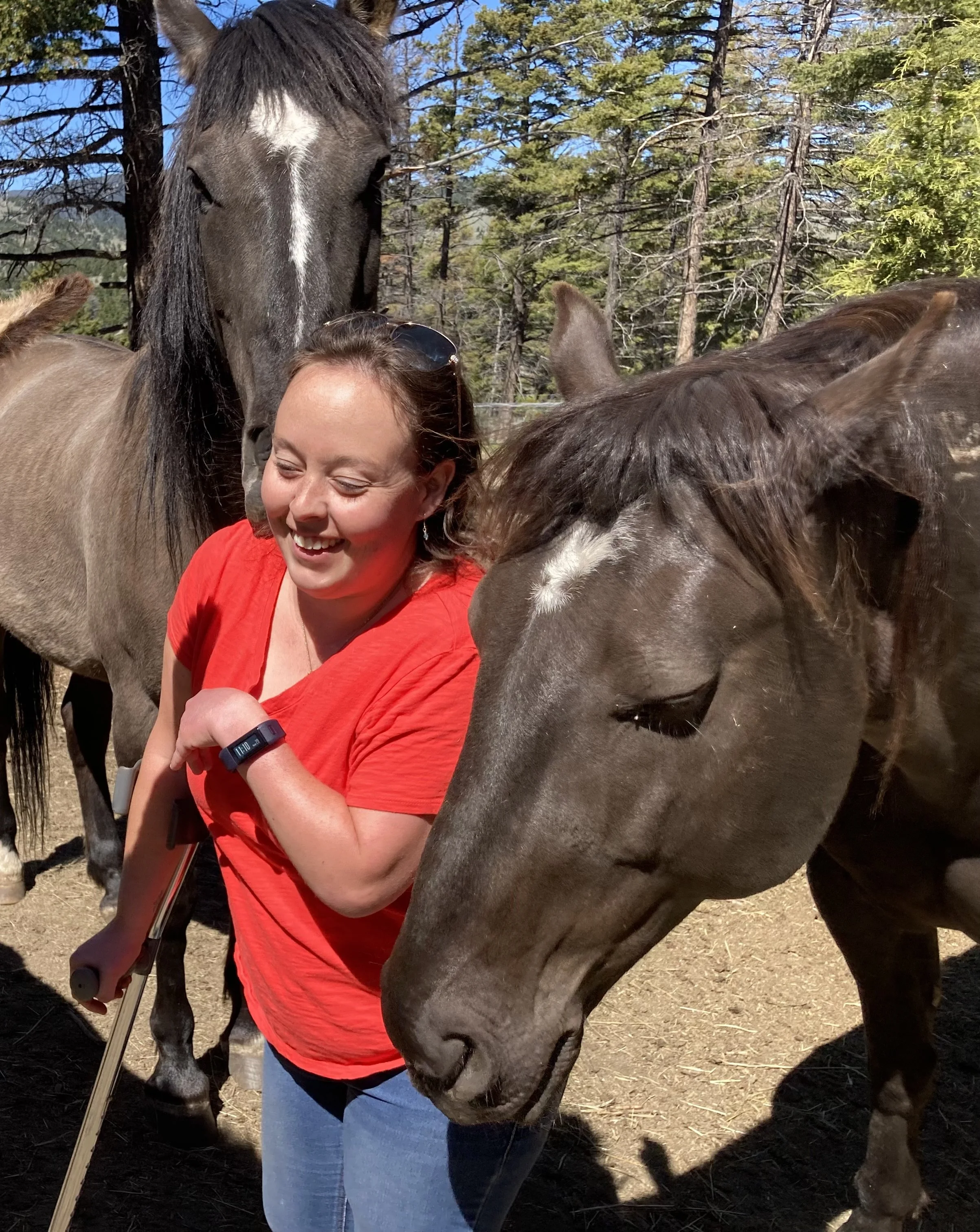 My friend Whitney Reid and mustangs Pistachio and Phineas showing her some love.