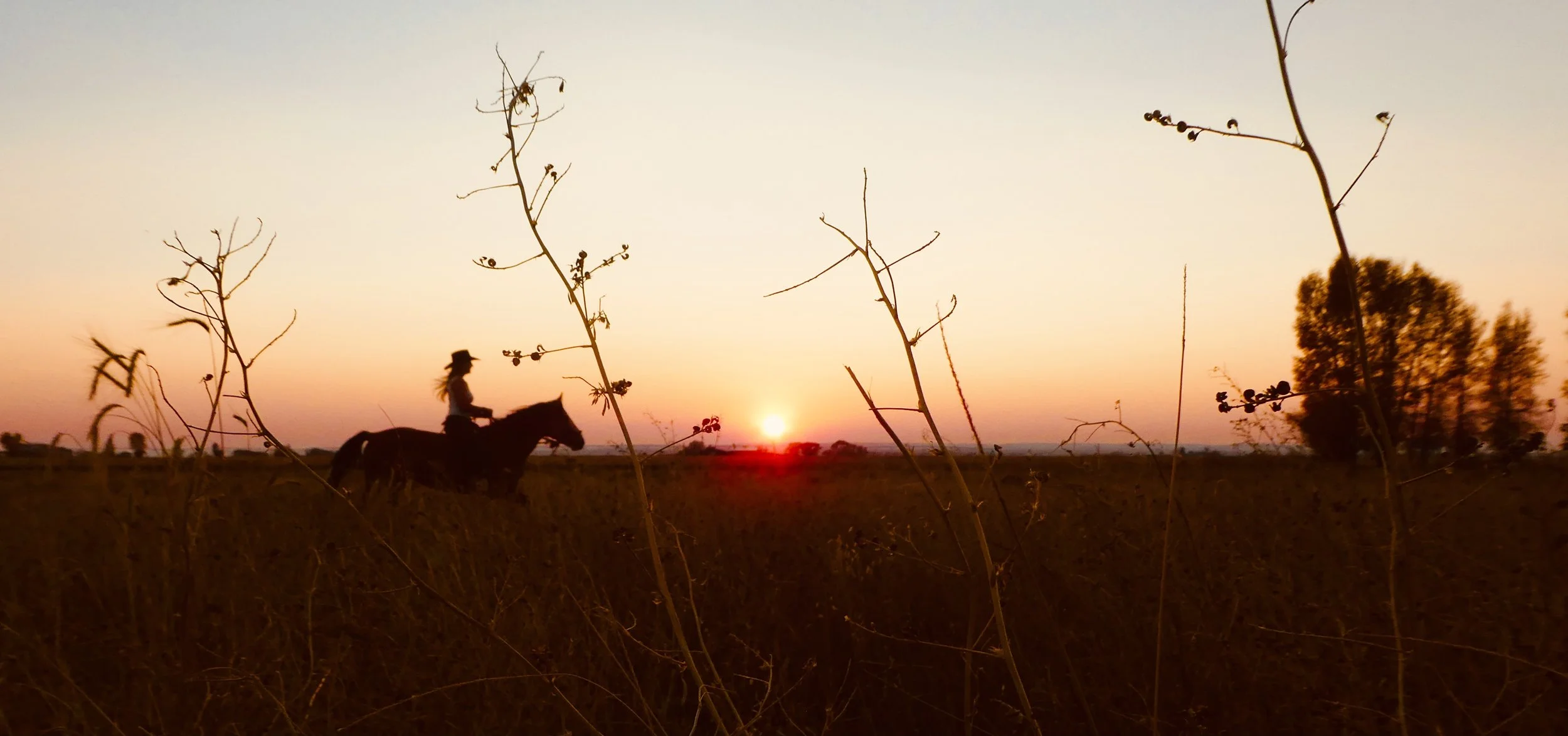 Riding my mustang at sunset on a ranch in Wyoming.