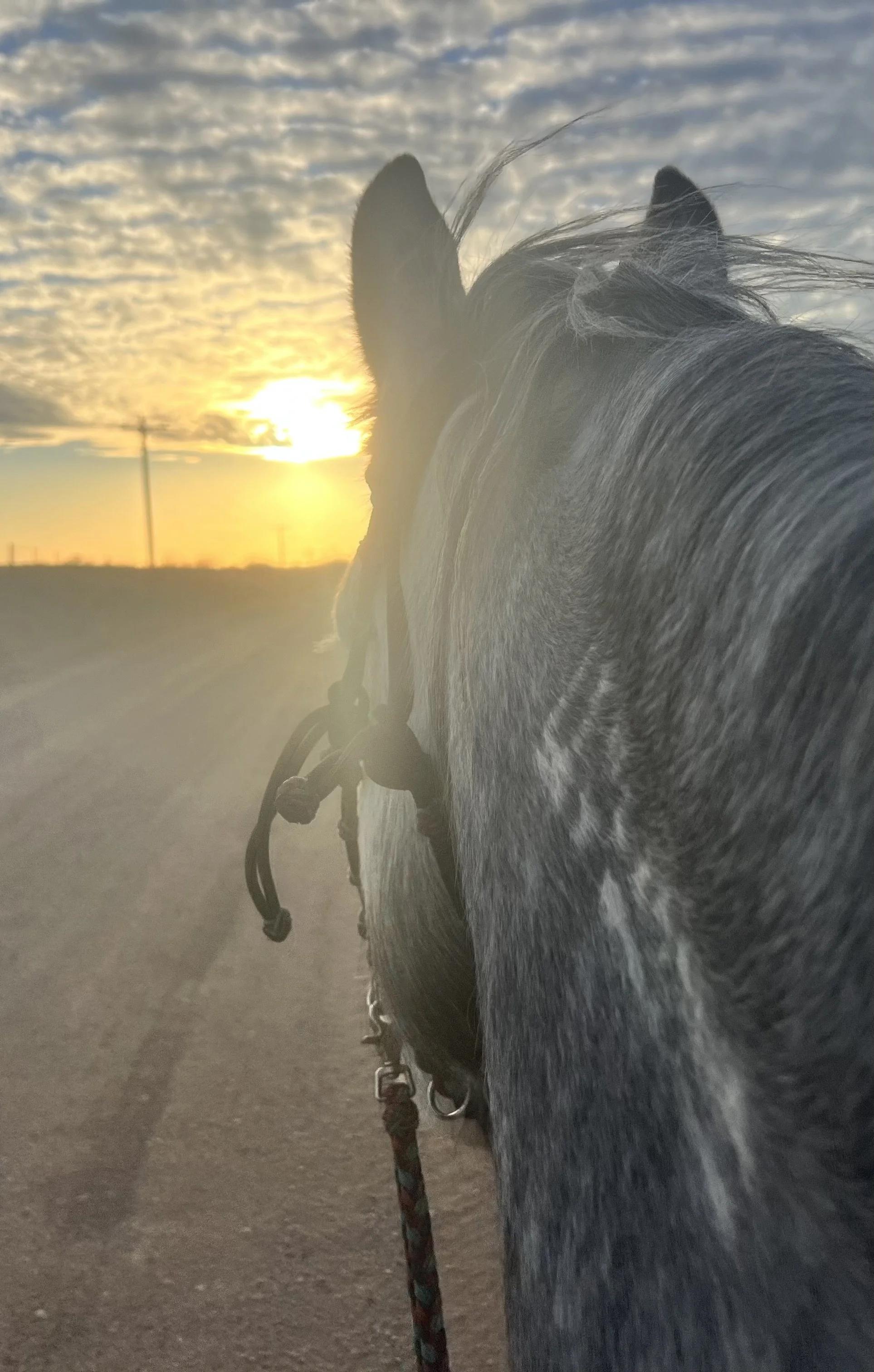 Riding mustang Ray on a Kansas dirt road at sunset