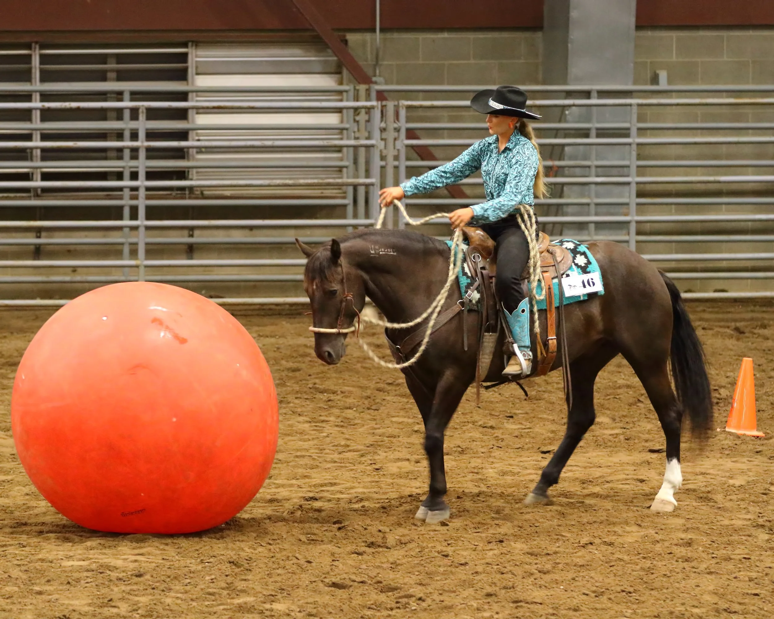 Lisanne Fear and mustang Phin at the Utah Wild Horse and burro festival in the extreme trail course.