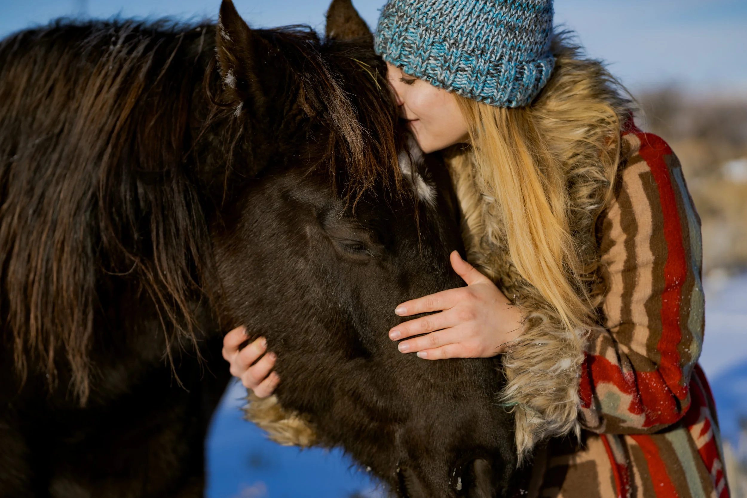 Mustang Phineas and Lisanne Fear- Photo taken by Julieta de la Cerda