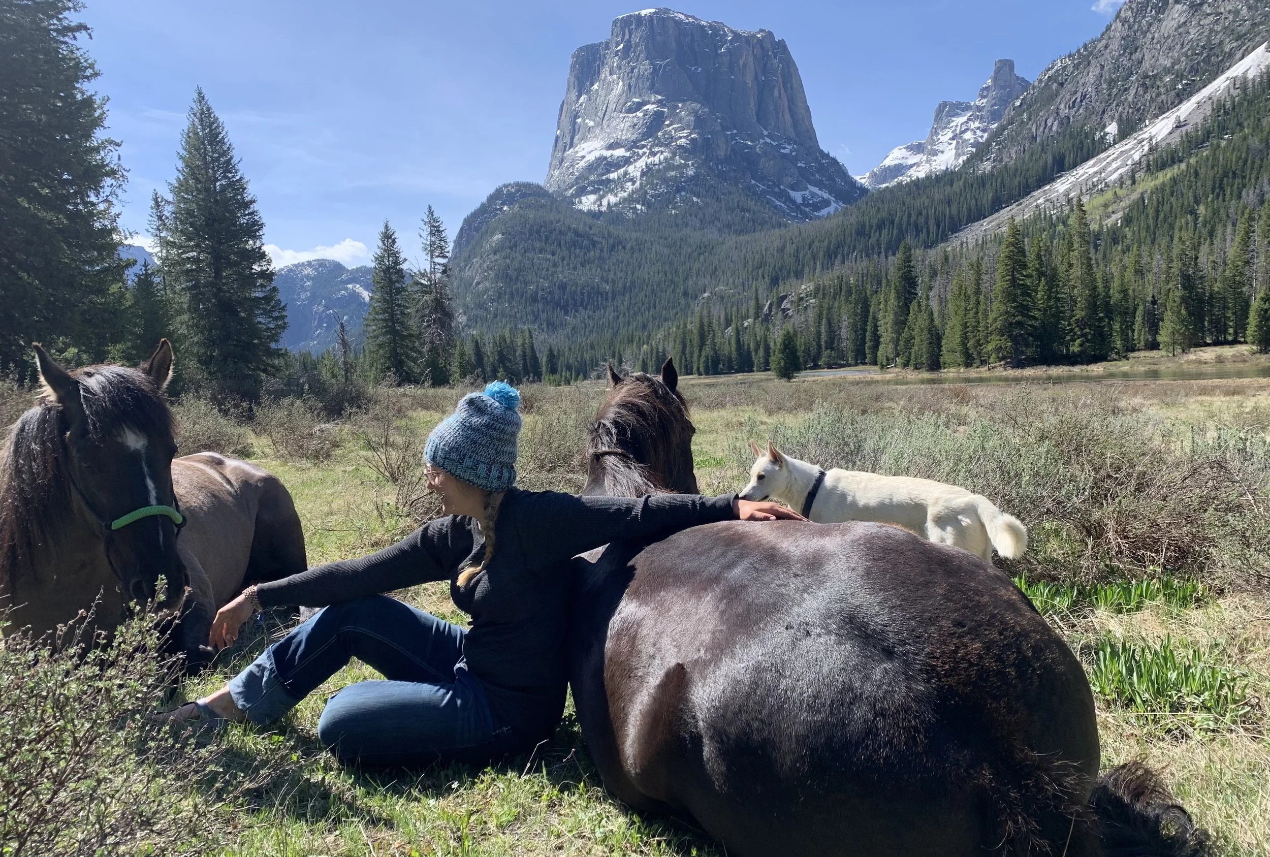 Laying with my mustangs in the mountains beneath Squaretop Mountain