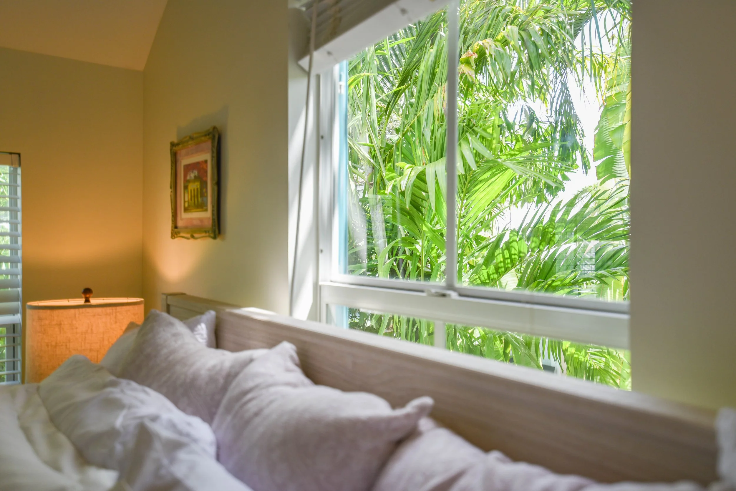 A daytime view from a bedroom window showing lush green tropical palm trees outside.