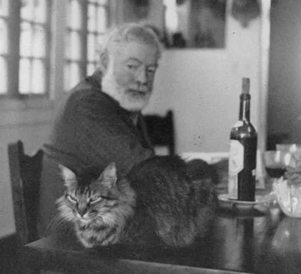An elderly man with a beard and glasses sitting at a table with a large, long-haired cat on the table in front of him. A bottle and some food are also on the table.