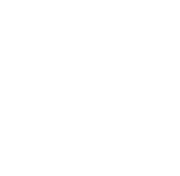 Lamborghini logo with a shield-shaped design featuring a bull and the word 'Lamborghini' at the top.