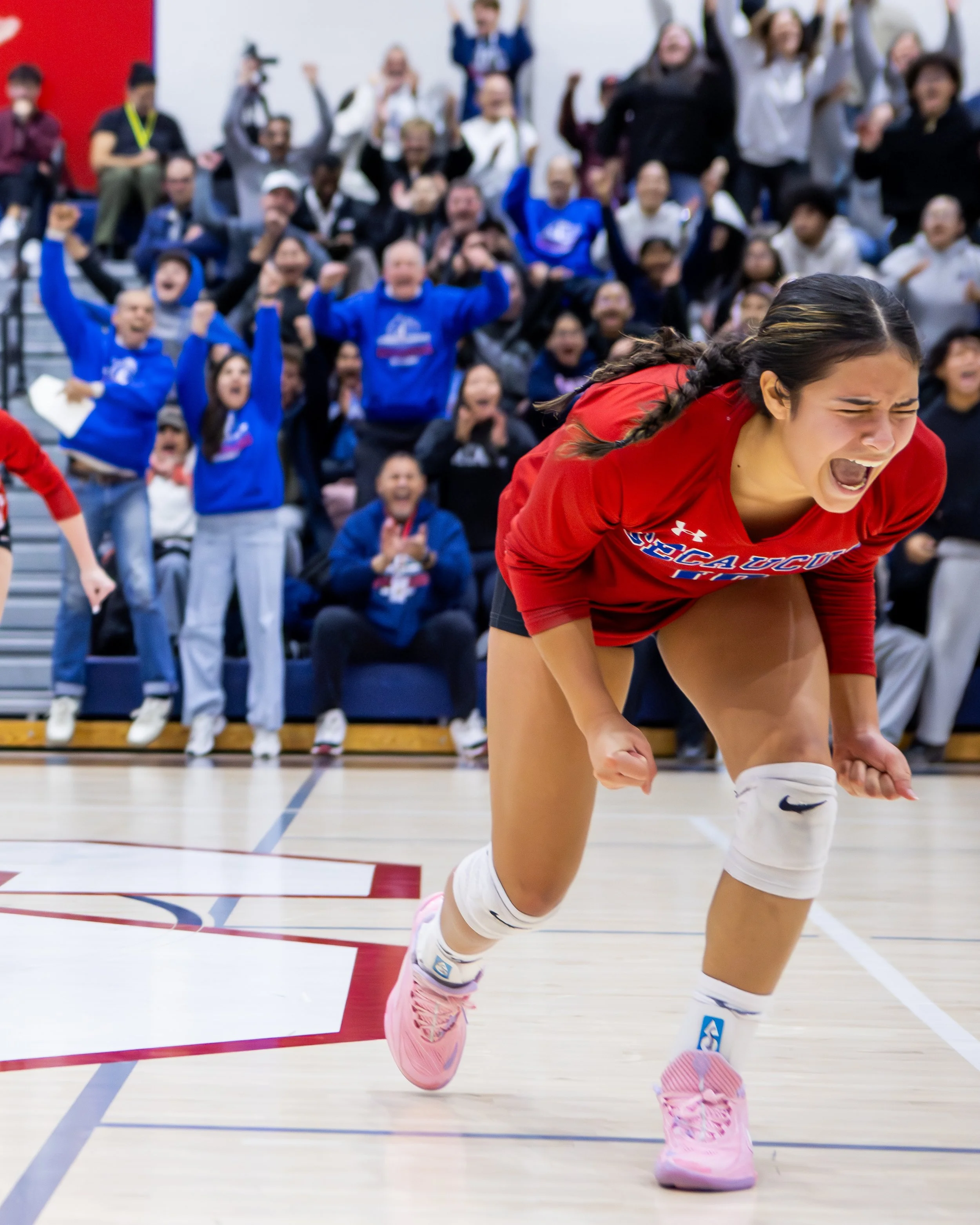 Other_Volleyball_TomHorak_1.jpg