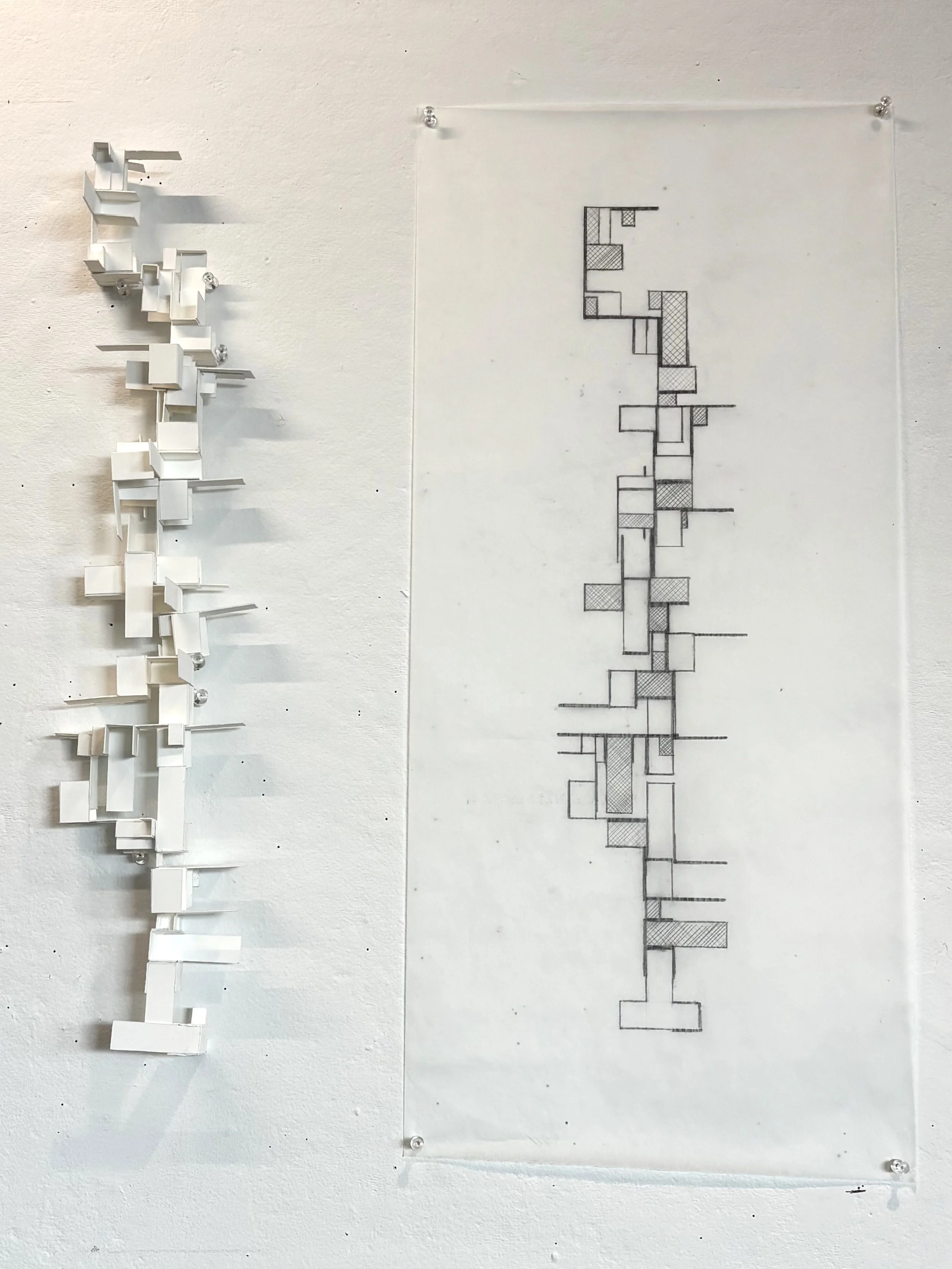 "Cell Assemblage" Museum Board