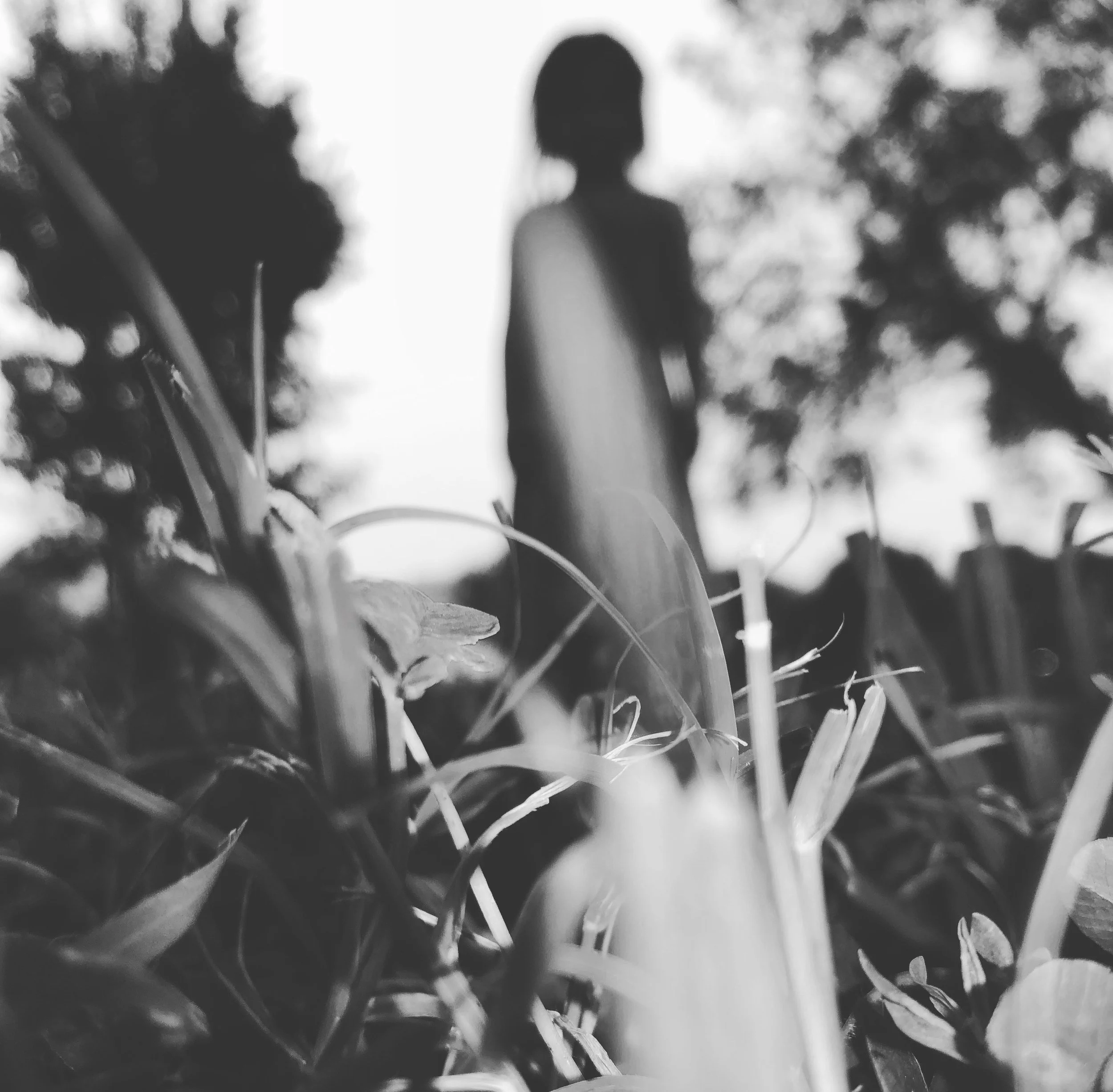 "Silhouette" iPhone 
