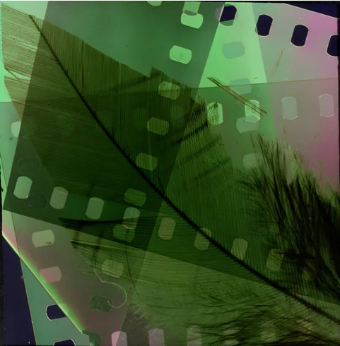 5186167073_927a6d1aff_o.jpg
