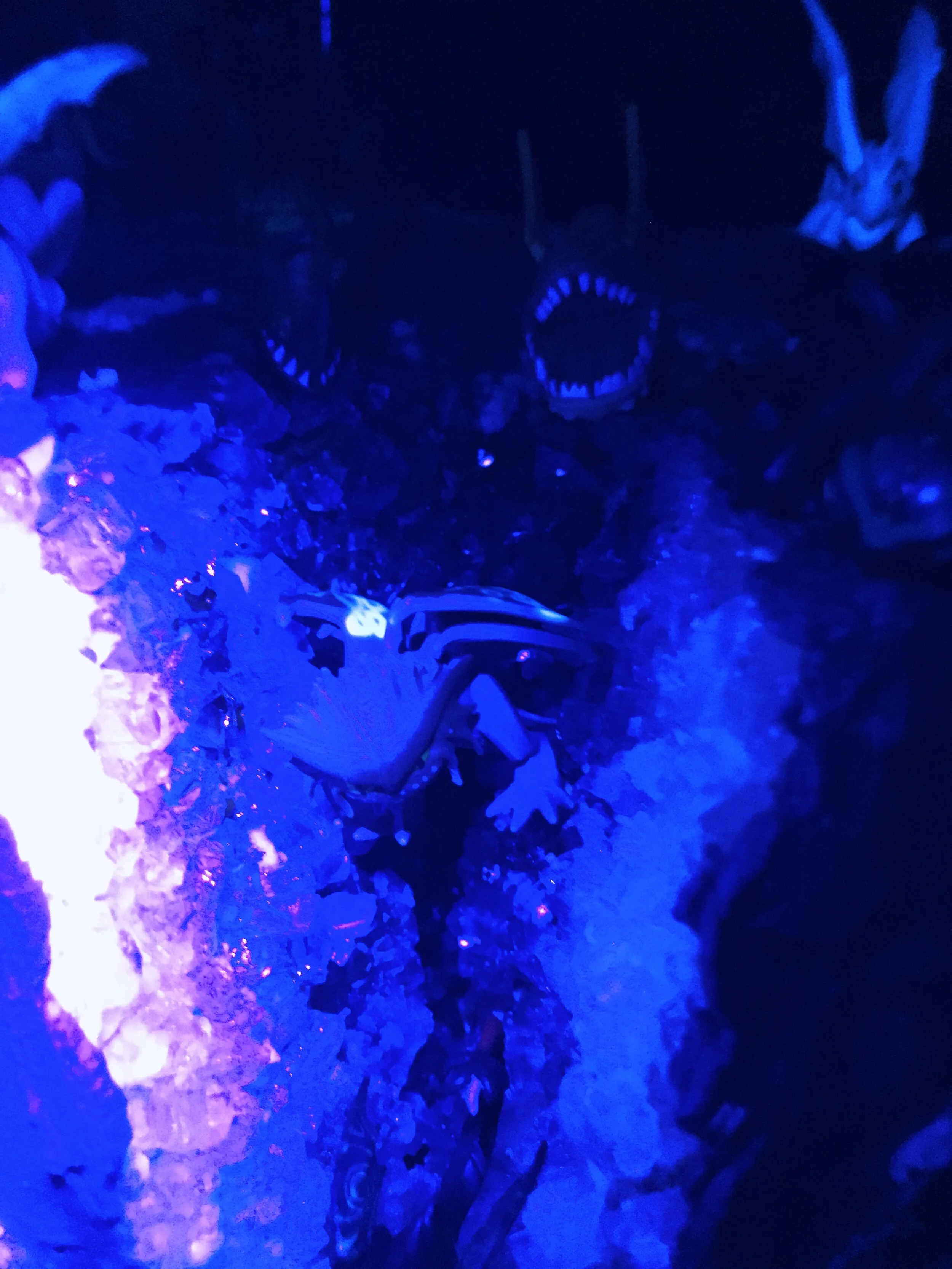 3F4B4565-6170-4D85-B80B-9CD62F8E9200_1_201_a.jpeg