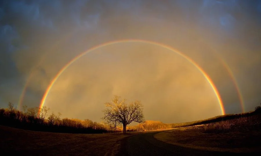 A Perfect Sky