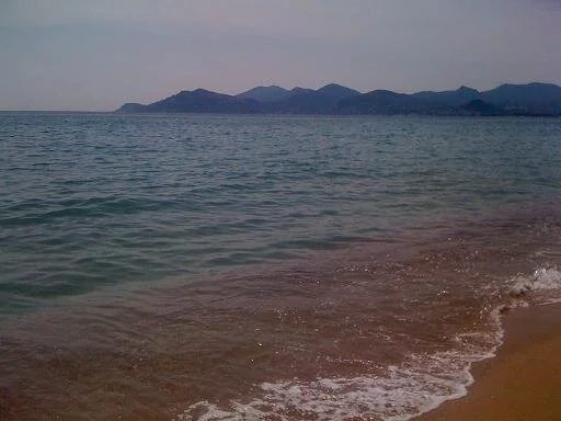 The Med