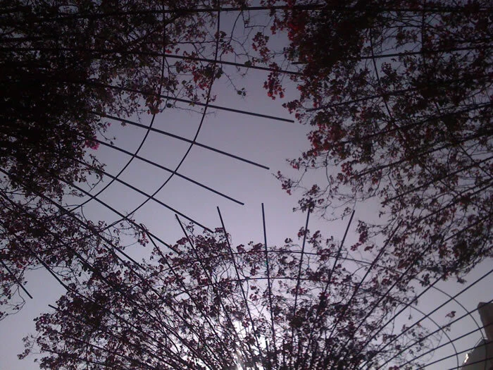 Rebar trees