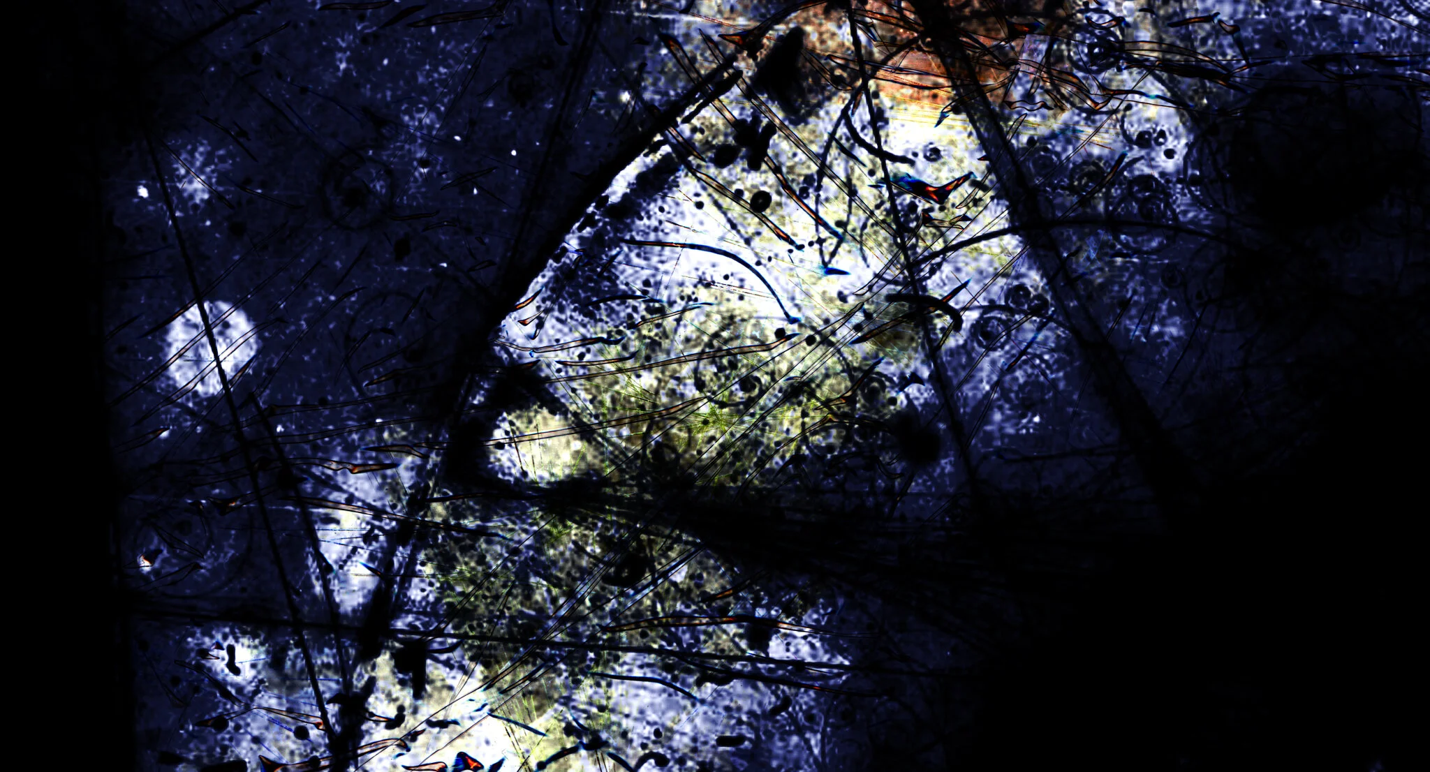 A still from Chain by Courtney Hoskins and Carl Fuermann
