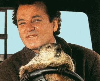 bmurray-groundhog3501.jpg
