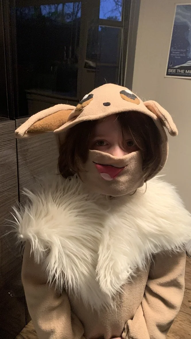 Pokemon Kigurumi (with covid mask)