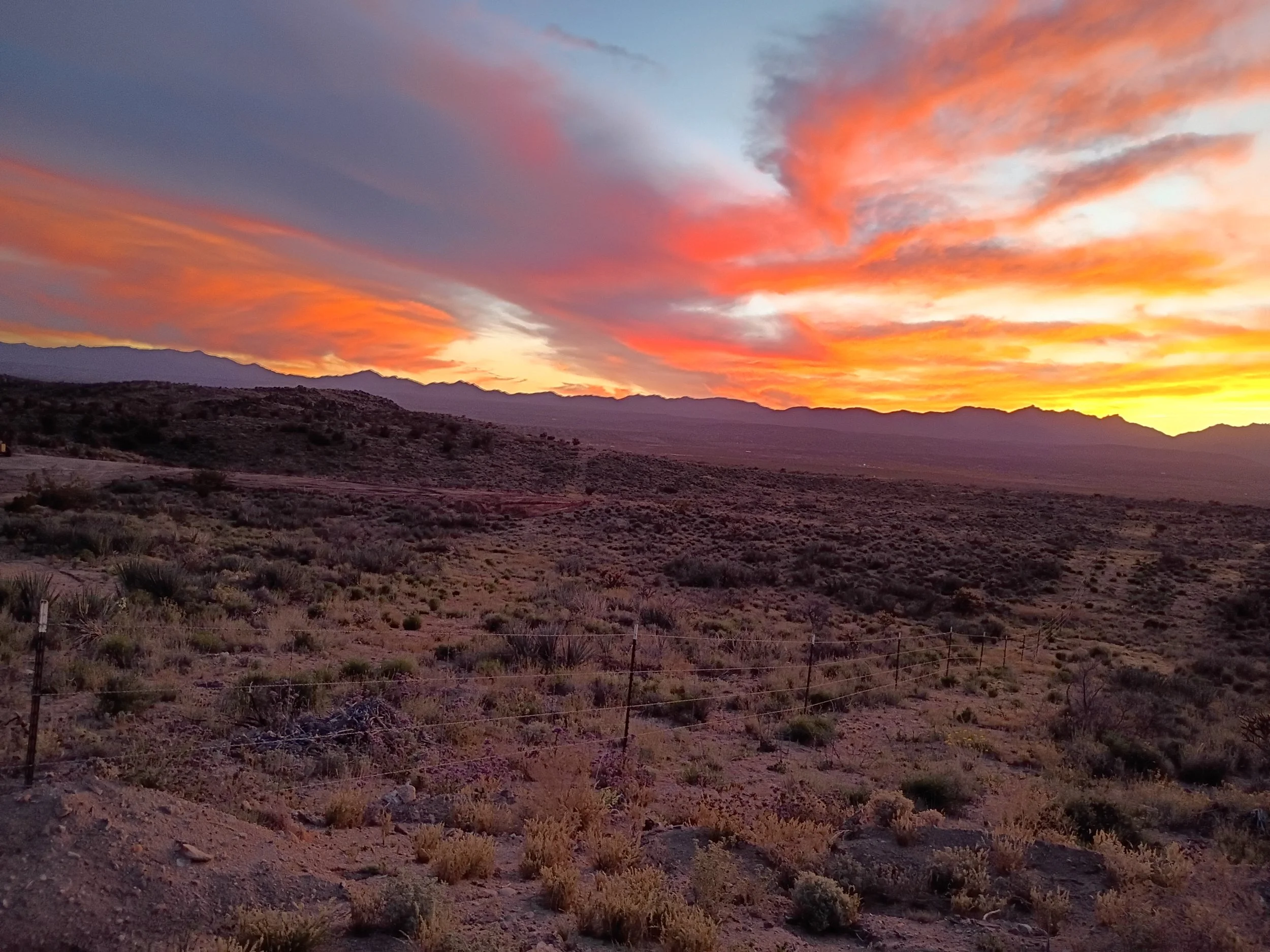 IMG_20260322_185922864_HDR.jpg