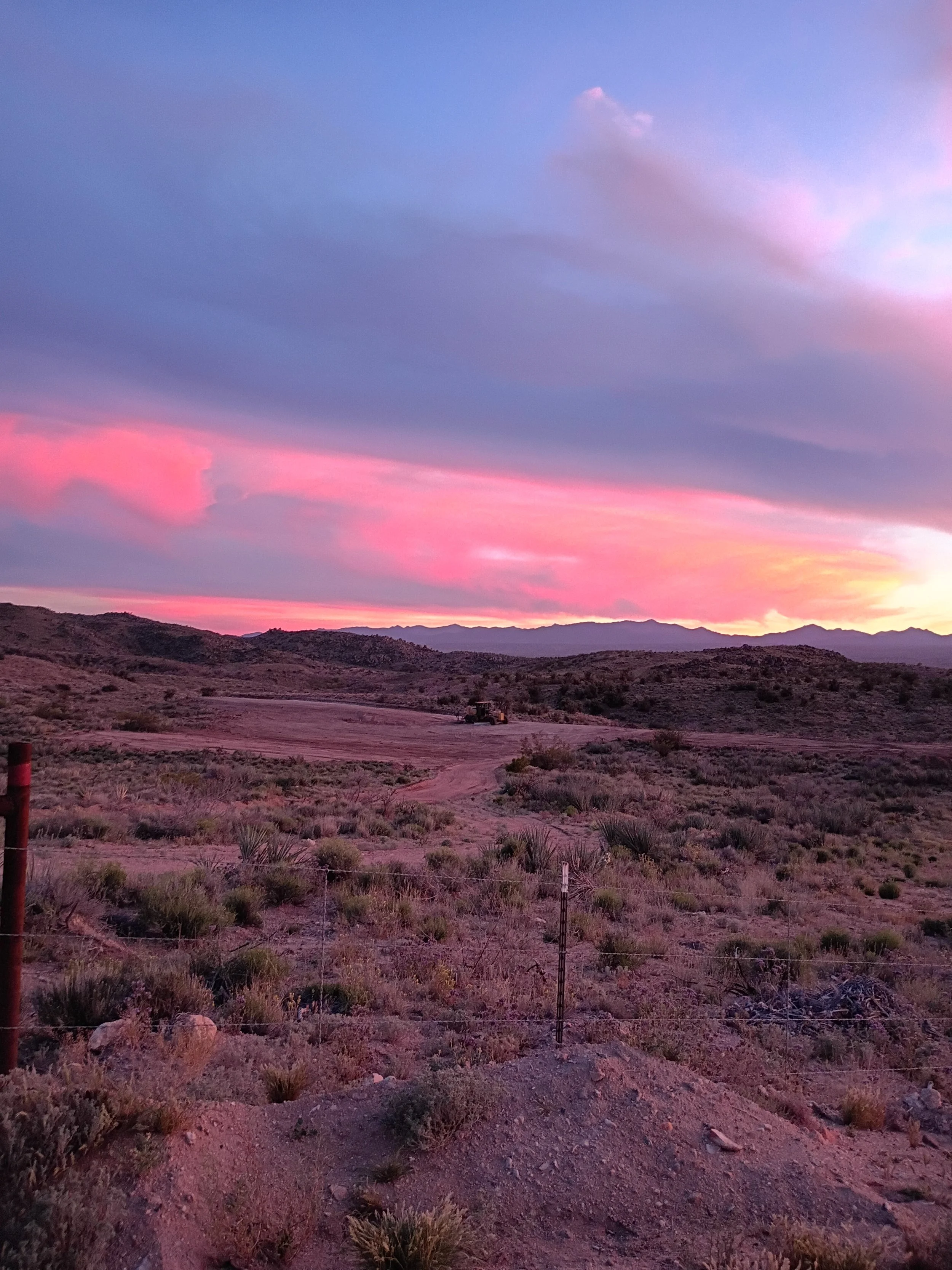 IMG_20260322_185912575_HDR.jpg