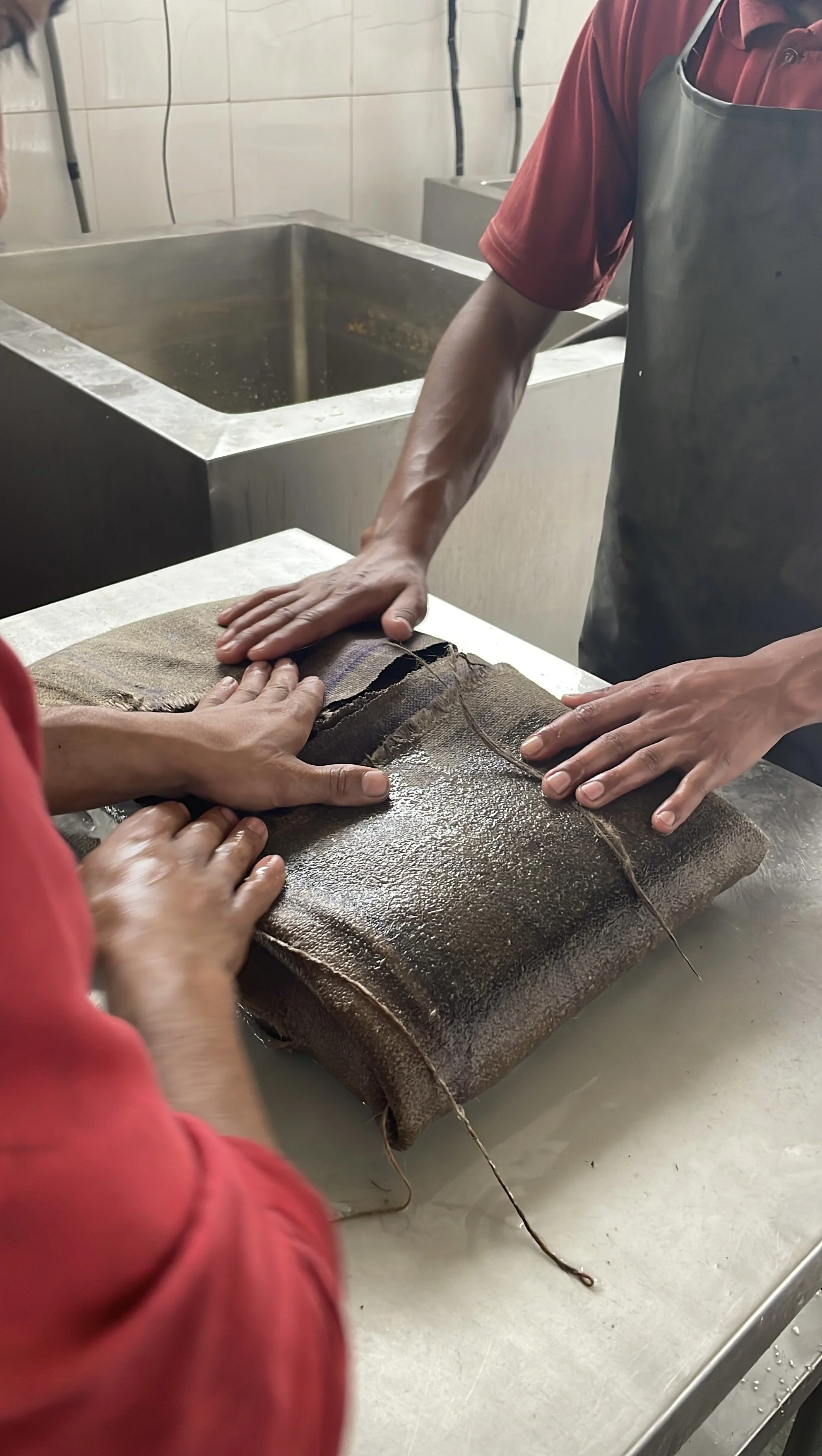 IMG_9153.JPG