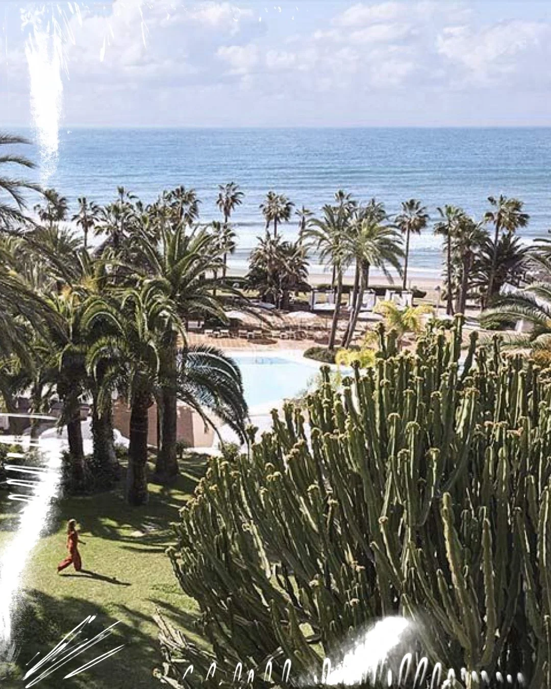 Don Carlos Resort — Rebranding