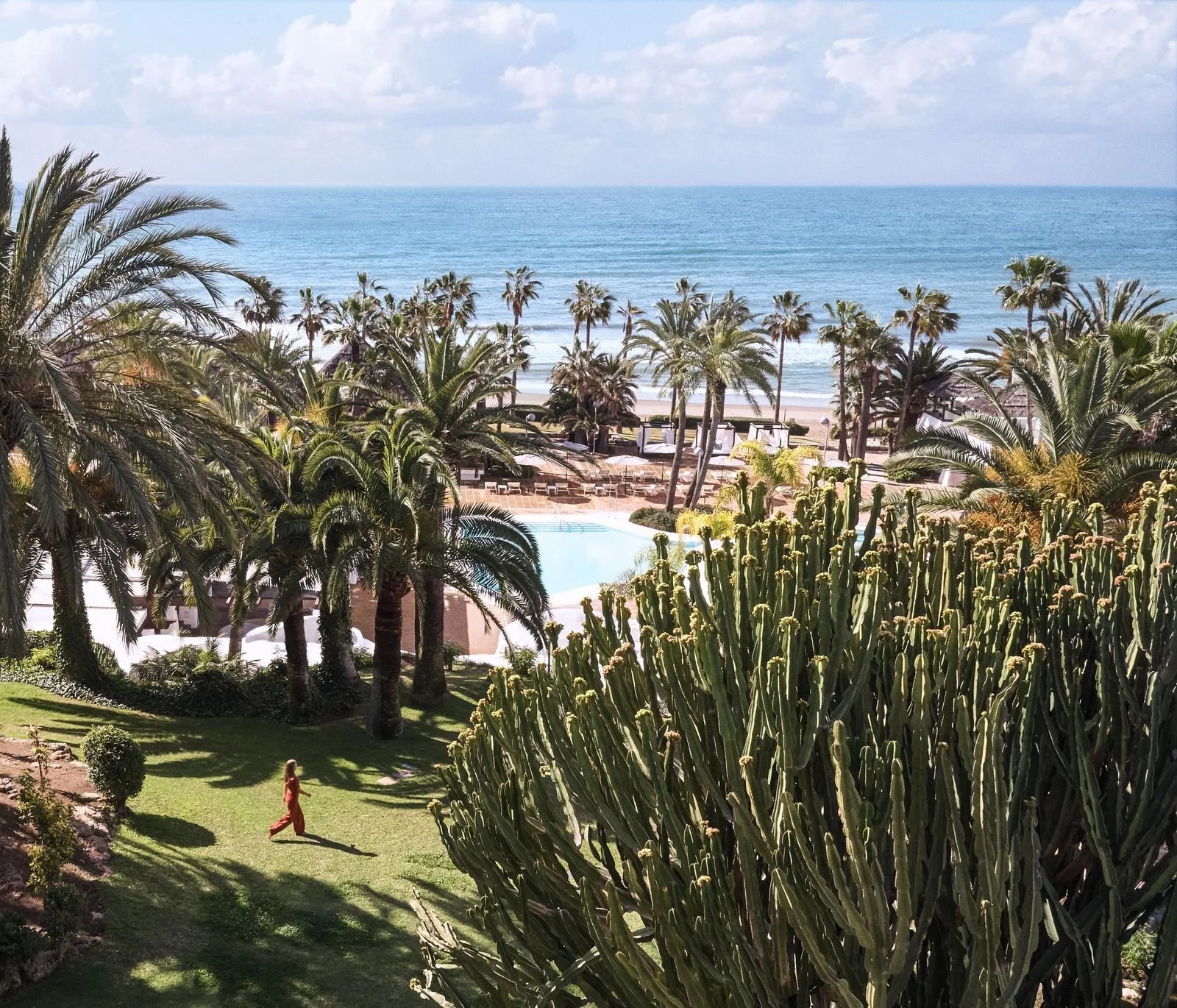 A view of a tropical resort with lush greenery, tall palm trees, a swimming pool, and the ocean in the background on a bright, sunny day.