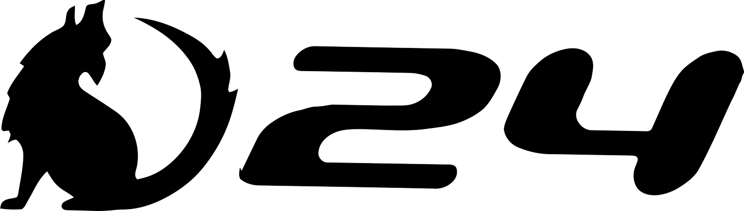 Outrun 24-Hour Endurance Race