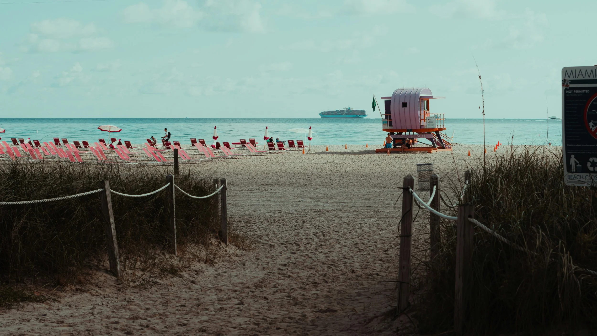 Beach Day!