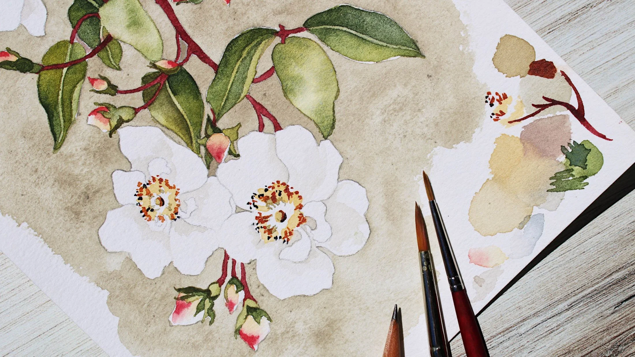 Watercolor painting of white flowers and green leaves on paper with watercolor brushes nearby.