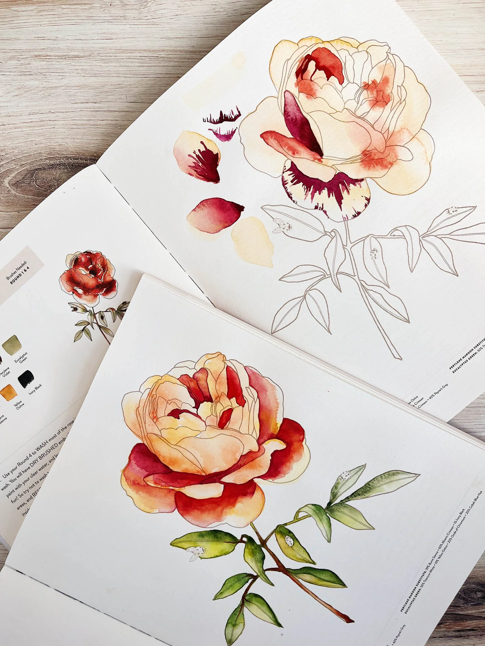 Watercolor floral drawings of peonies, with one partially colored with red and yellow hues on white paper.
