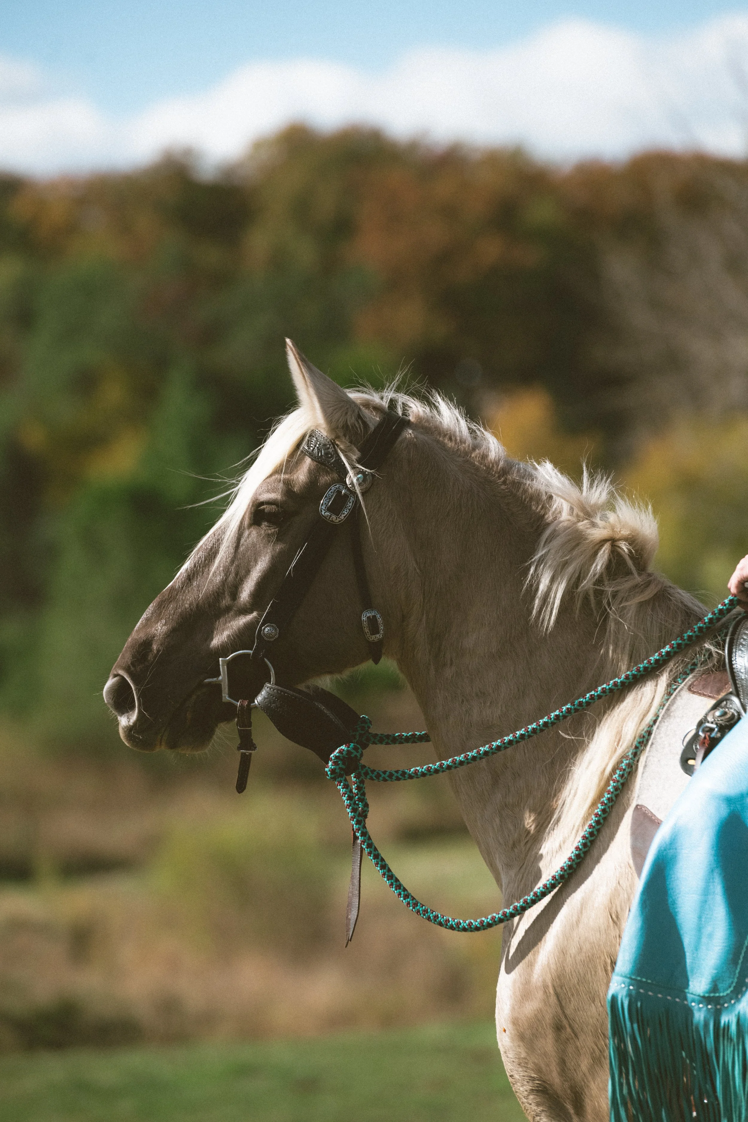 2025_10_Oct_FeatherboneHorsemanship-0297.jpg