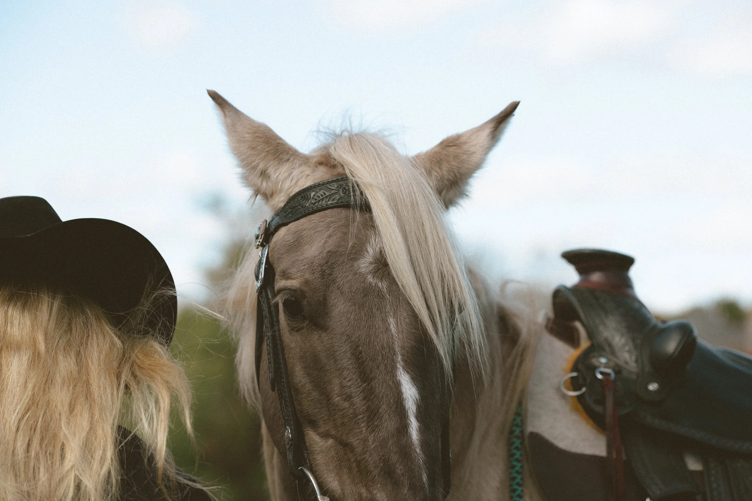 2025_10_Oct_FeatherboneHorsemanship-9984.jpg
