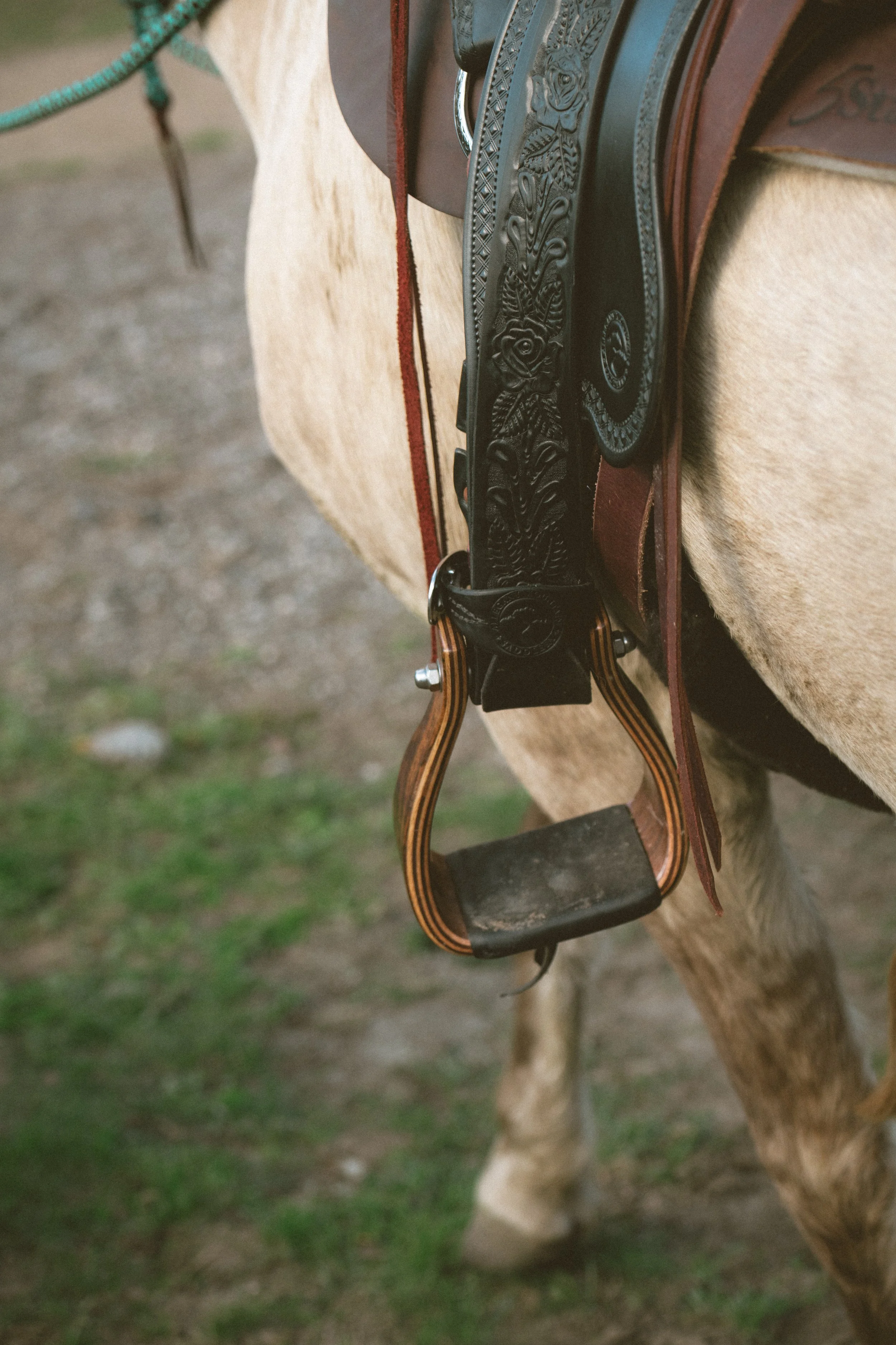 2025_10_Oct_FeatherboneHorsemanship-0002.jpg