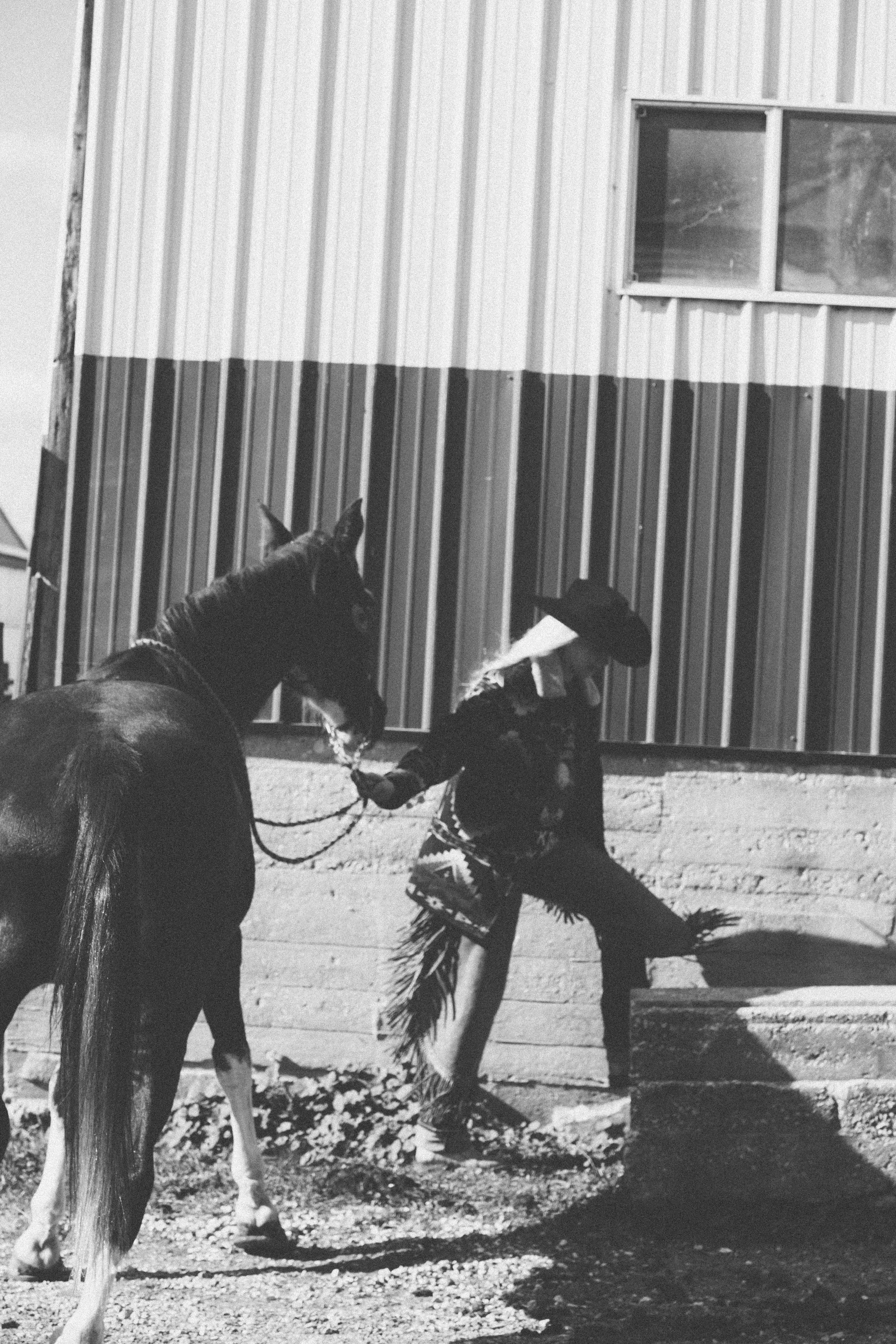 2025_10_Oct_FeatherboneHorsemanship-9647.jpg