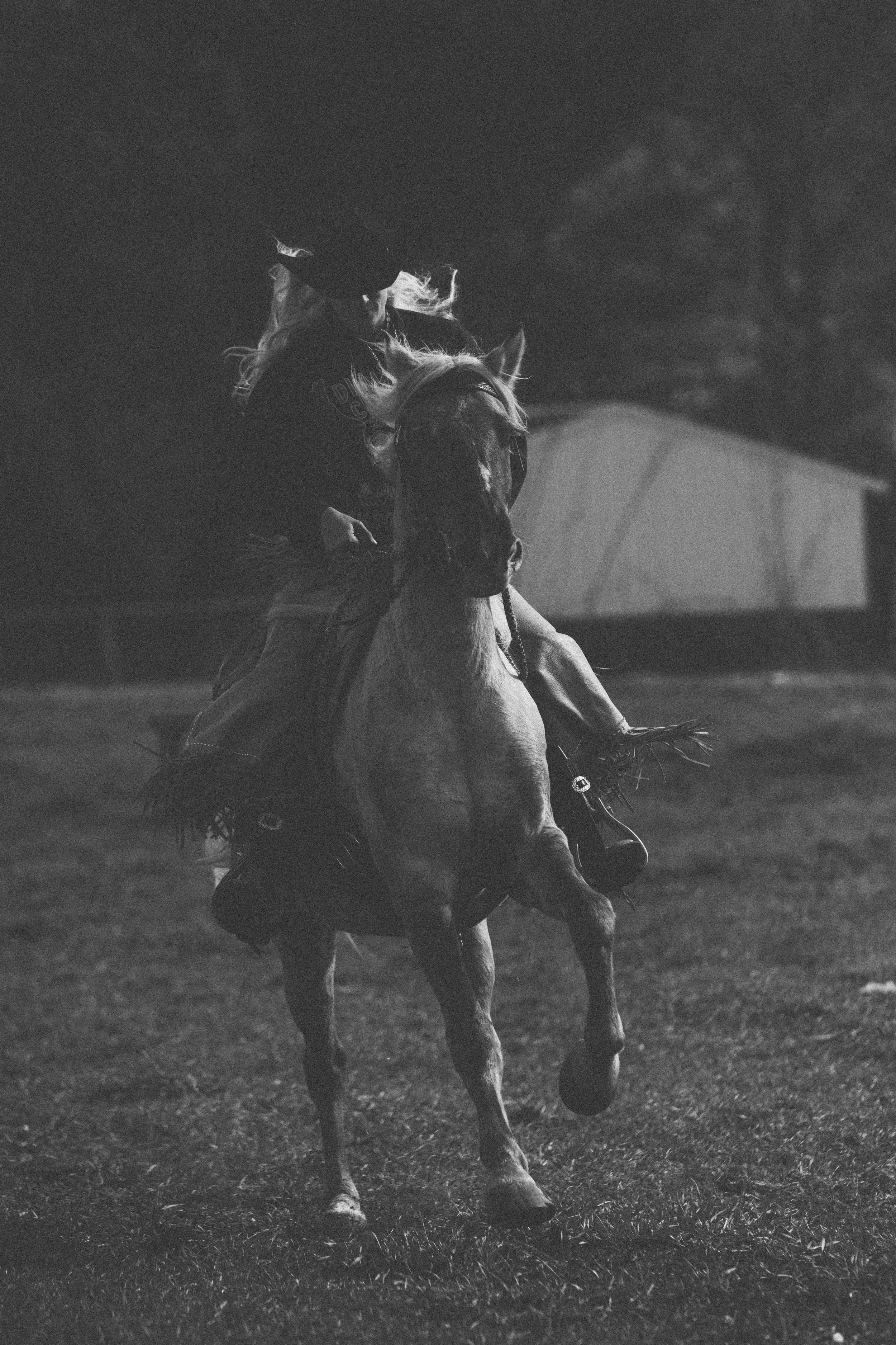 2025_10_Oct_FeatherboneHorsemanship-0213.jpg