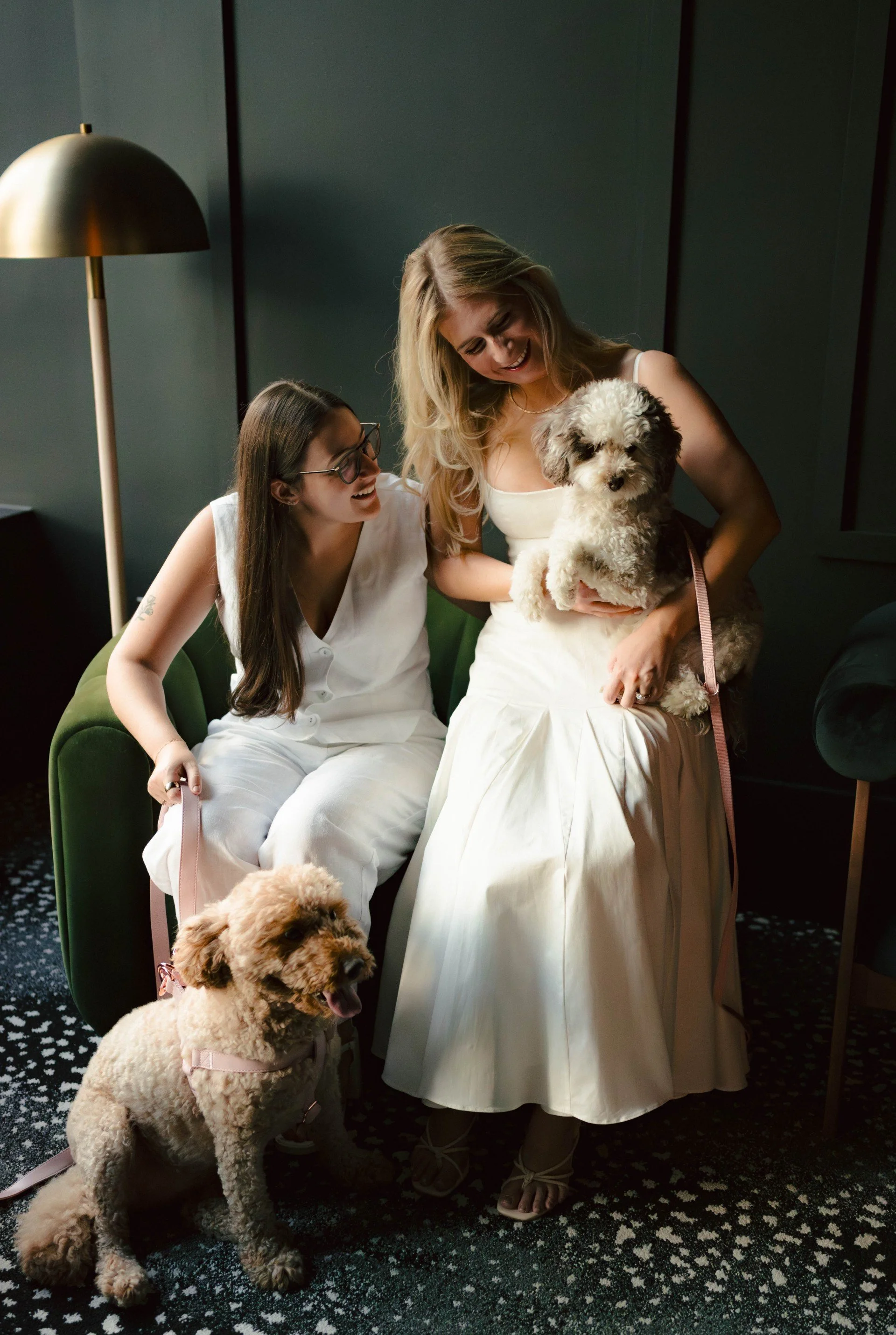 Two women and two dogs in an indoor setting. One woman is sitting on a green chair, laughing, while the other woman is standing, holding a fluffy white and brown dog. A large light-colored dog is sitting on the floor in front of the women.