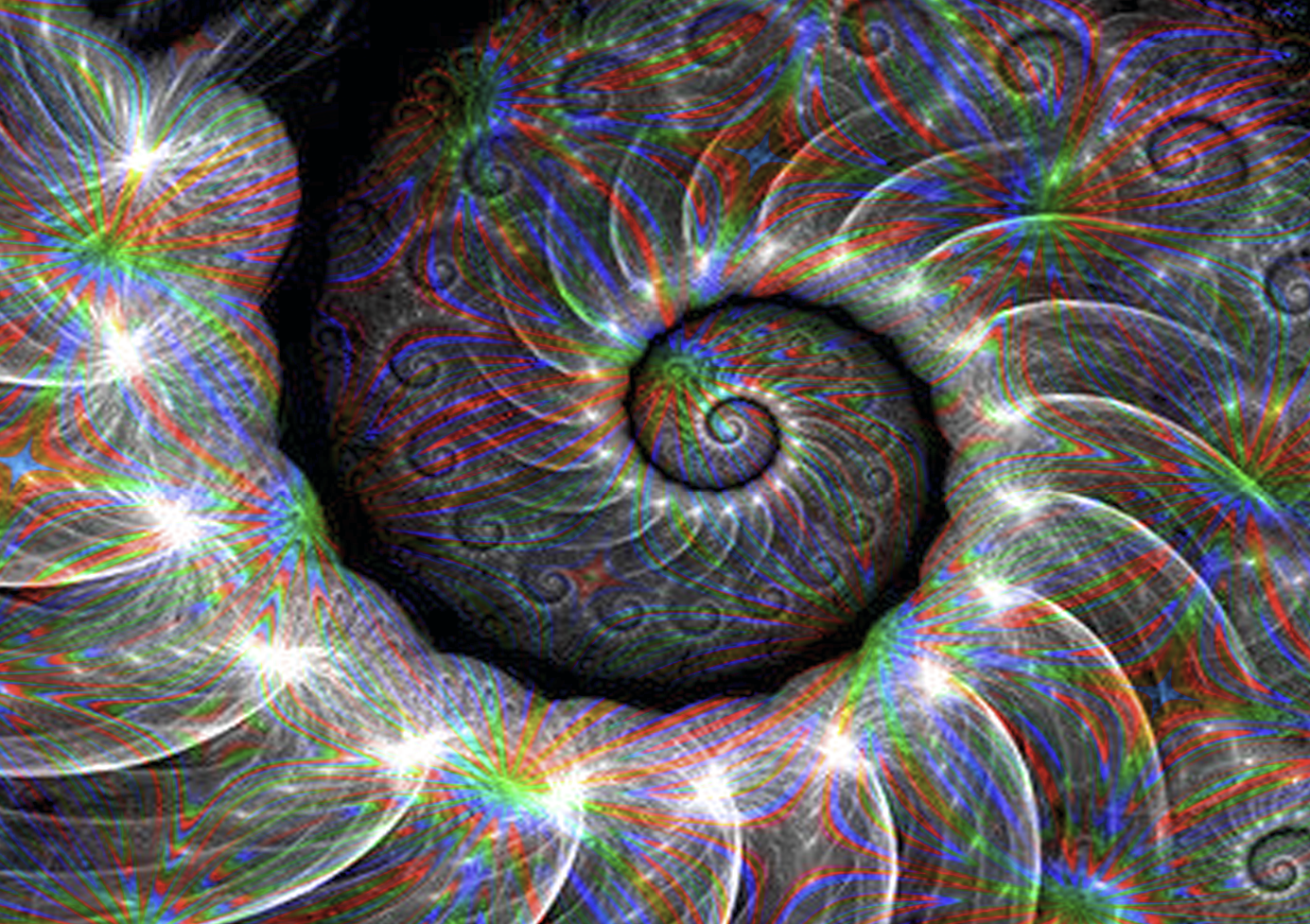 Spiral Golden Ratio - Custom Design Photoshop