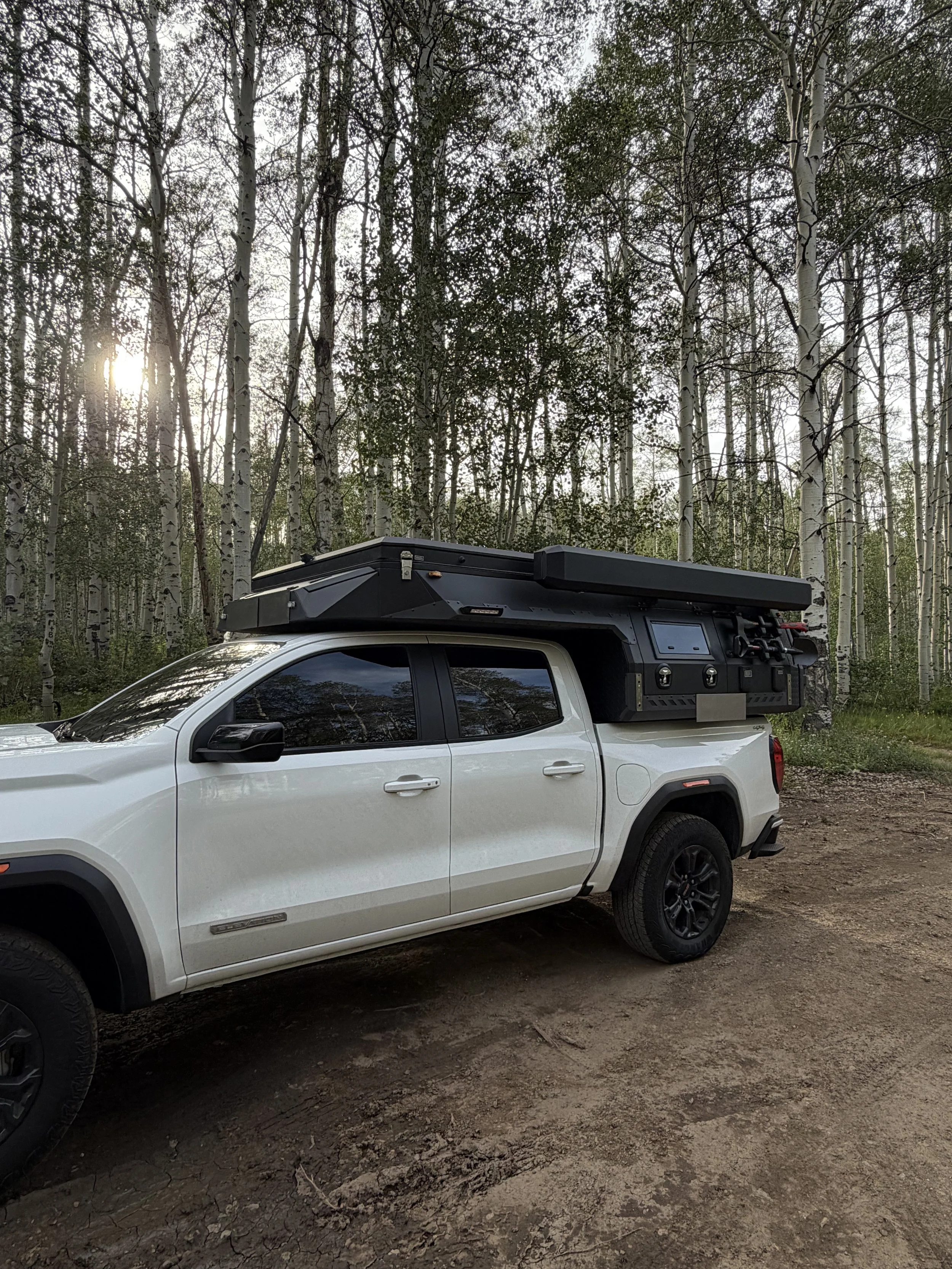 A white pickup truck with a black rooftop tent parked on a dirt area in front of a forest of tall white-barked trees.