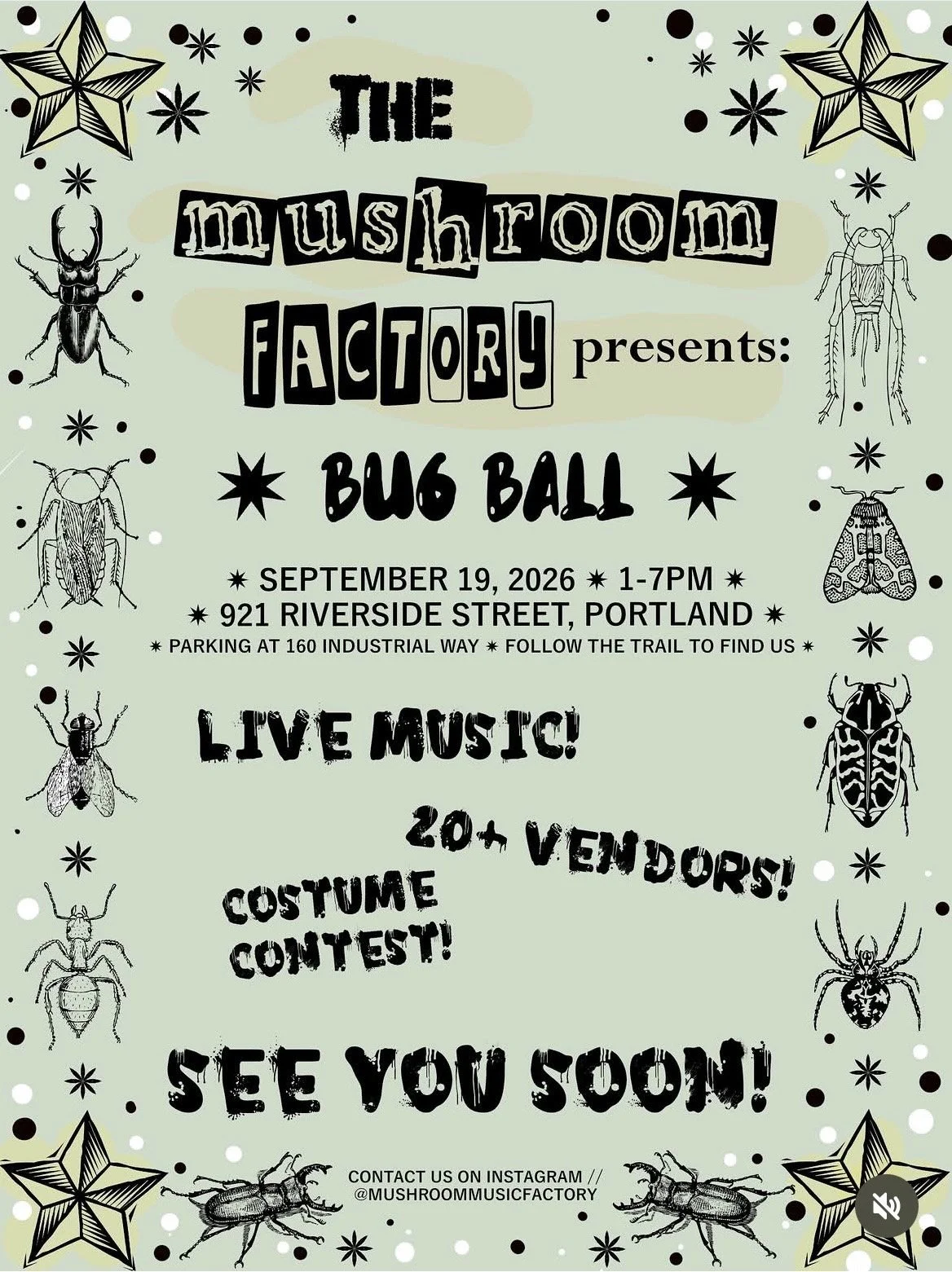 Bug Ball