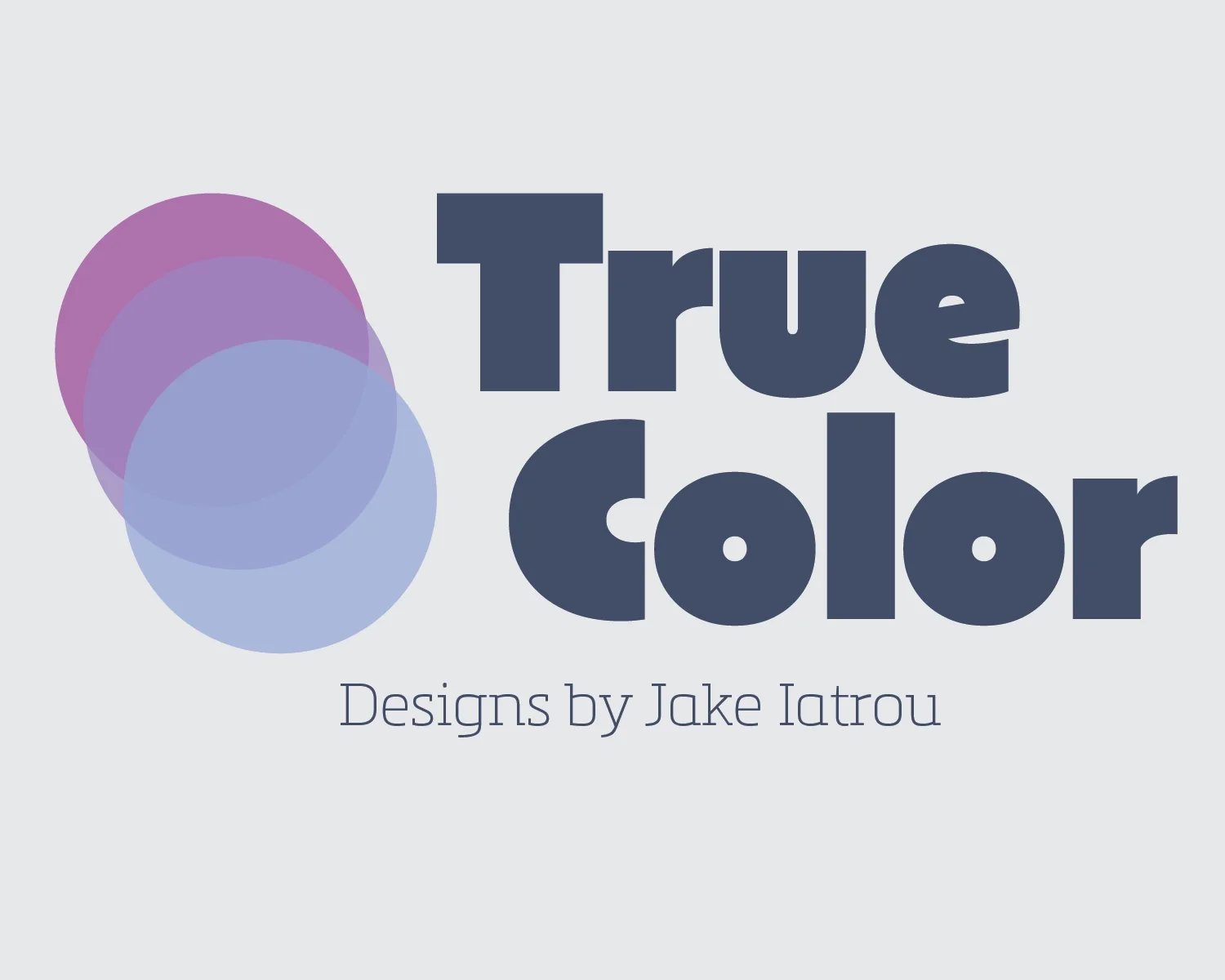 True Color Designer Logo