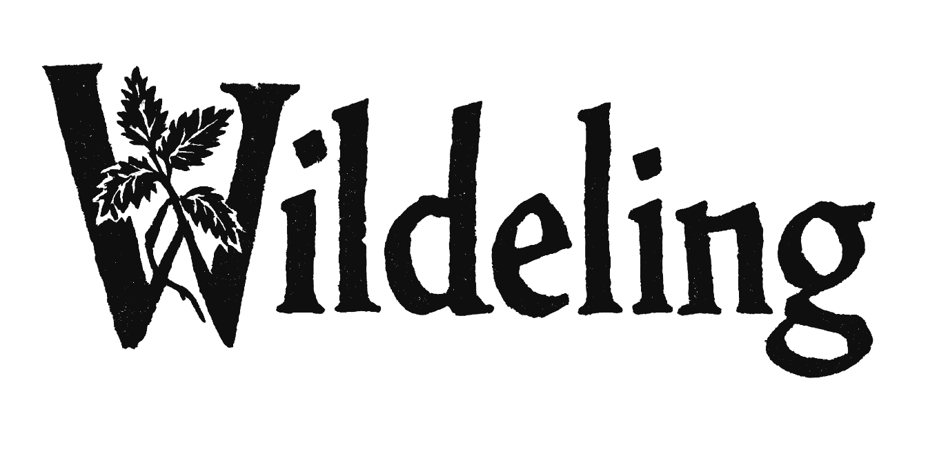 Wildeling