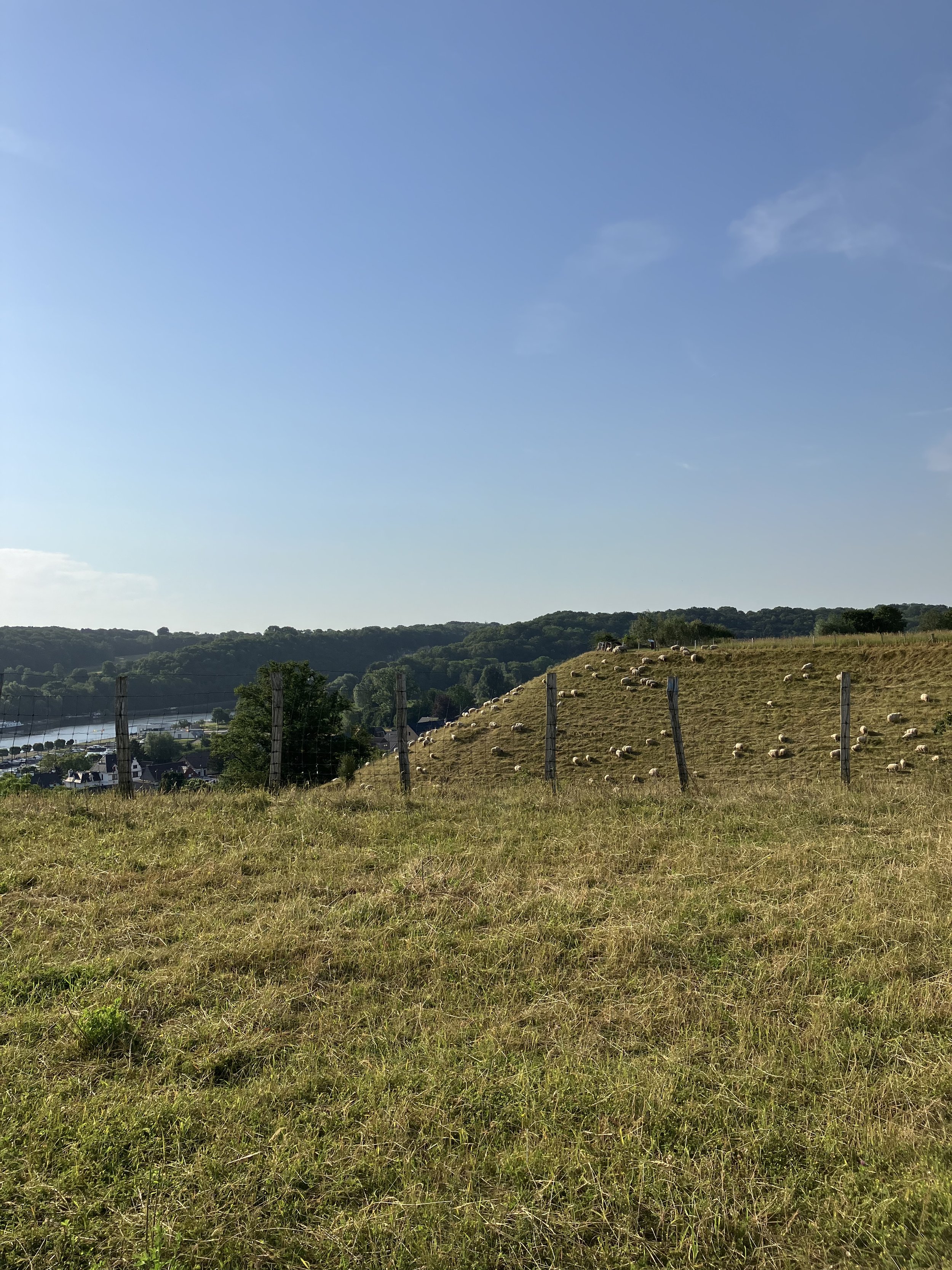 A hillside farm with sheep grazing near a fence, a village in the distance, and a clear blue sky.