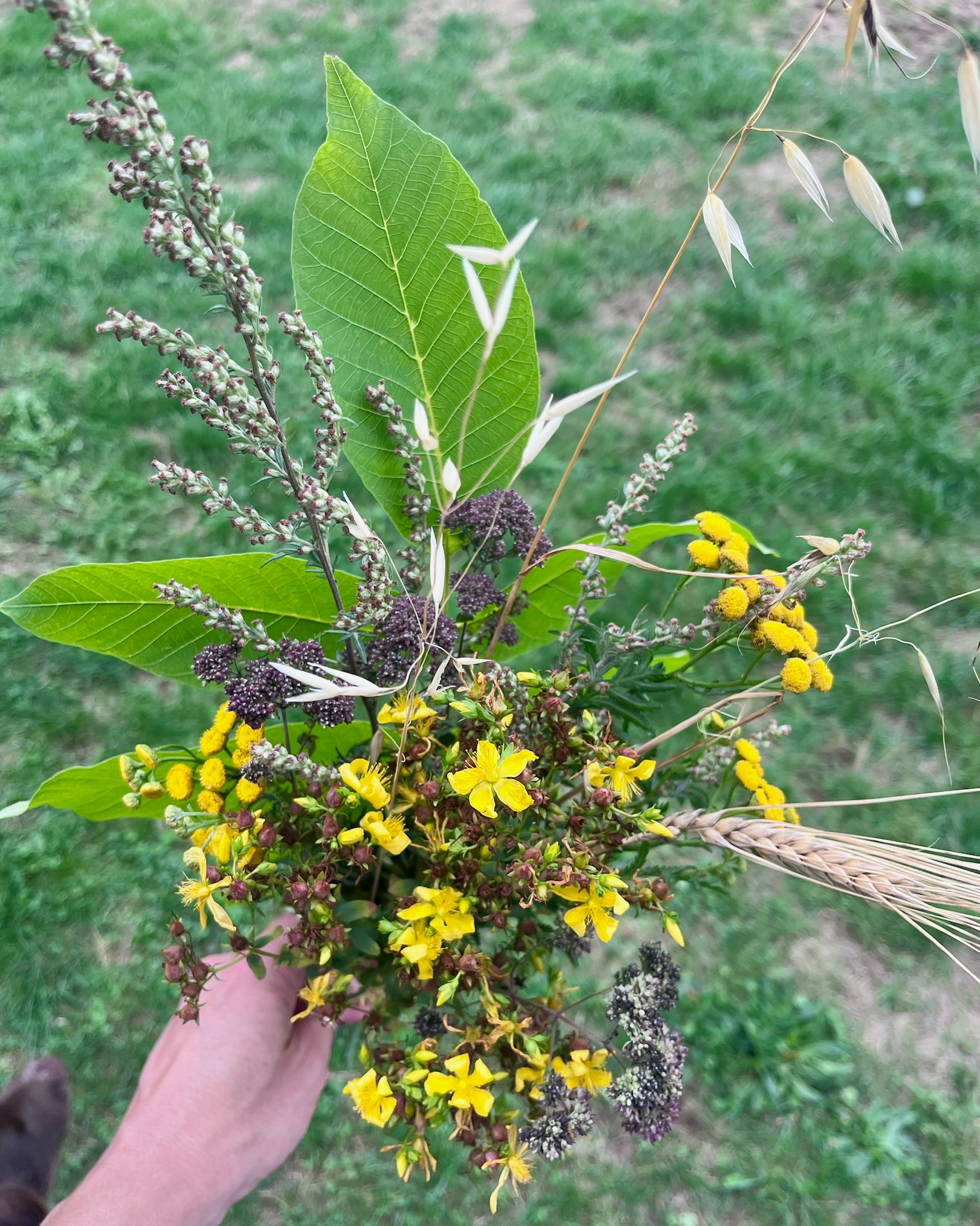 A hand holding a bouquet of wildflowers and greenery outdoors on a grassy background.