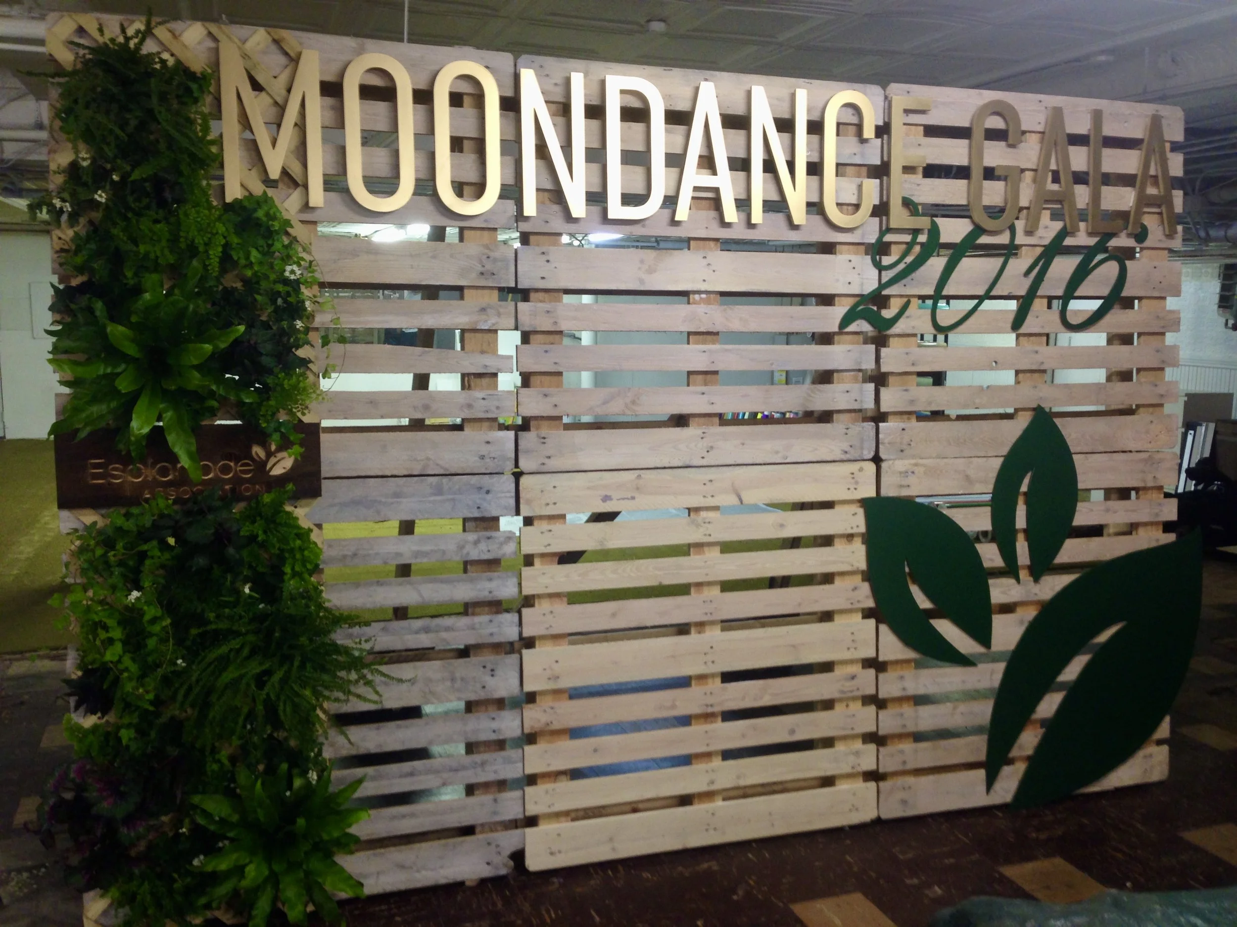 Moondance Gala Backdrop